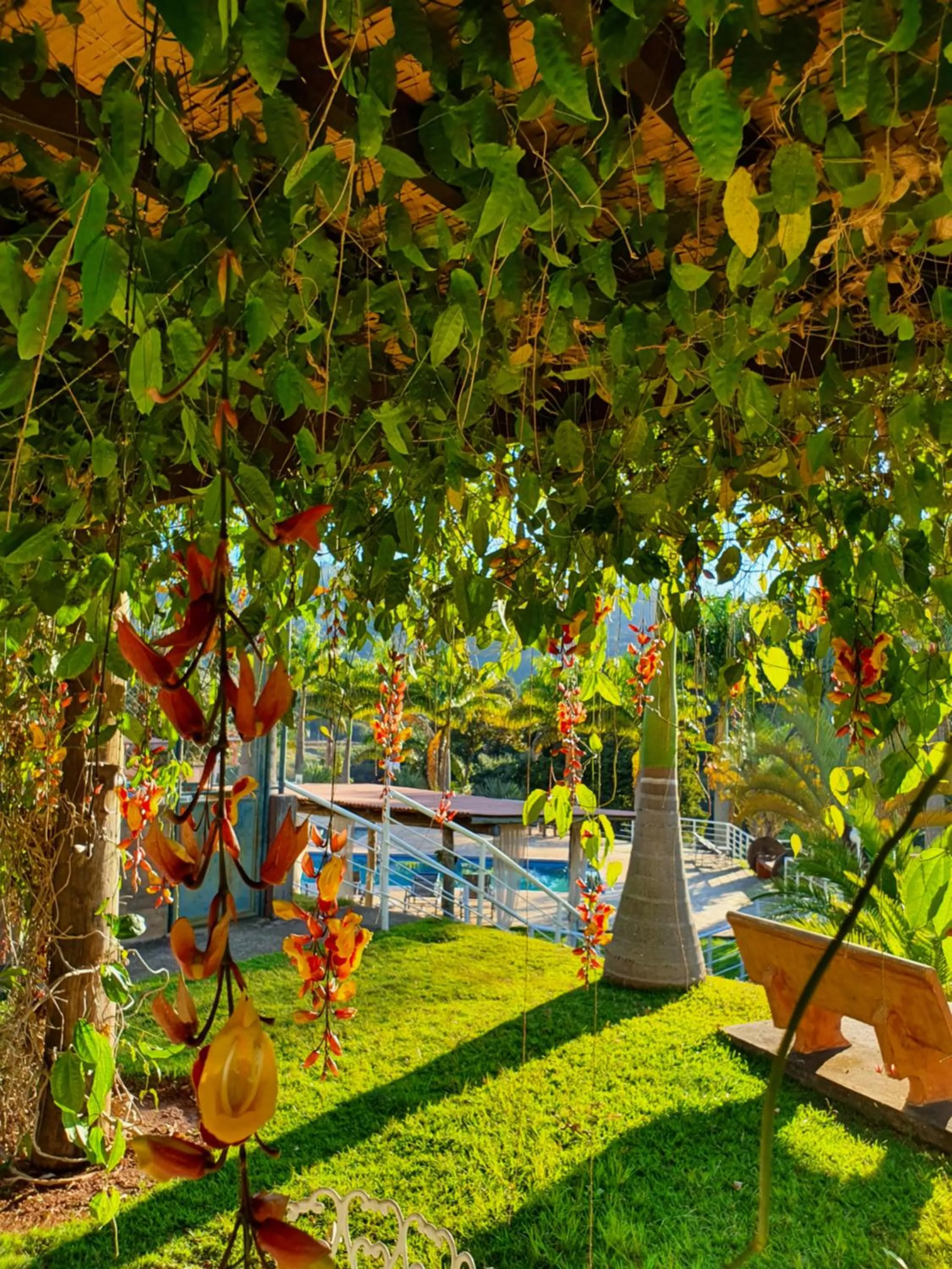 Garden in Pousada Nefelibatas