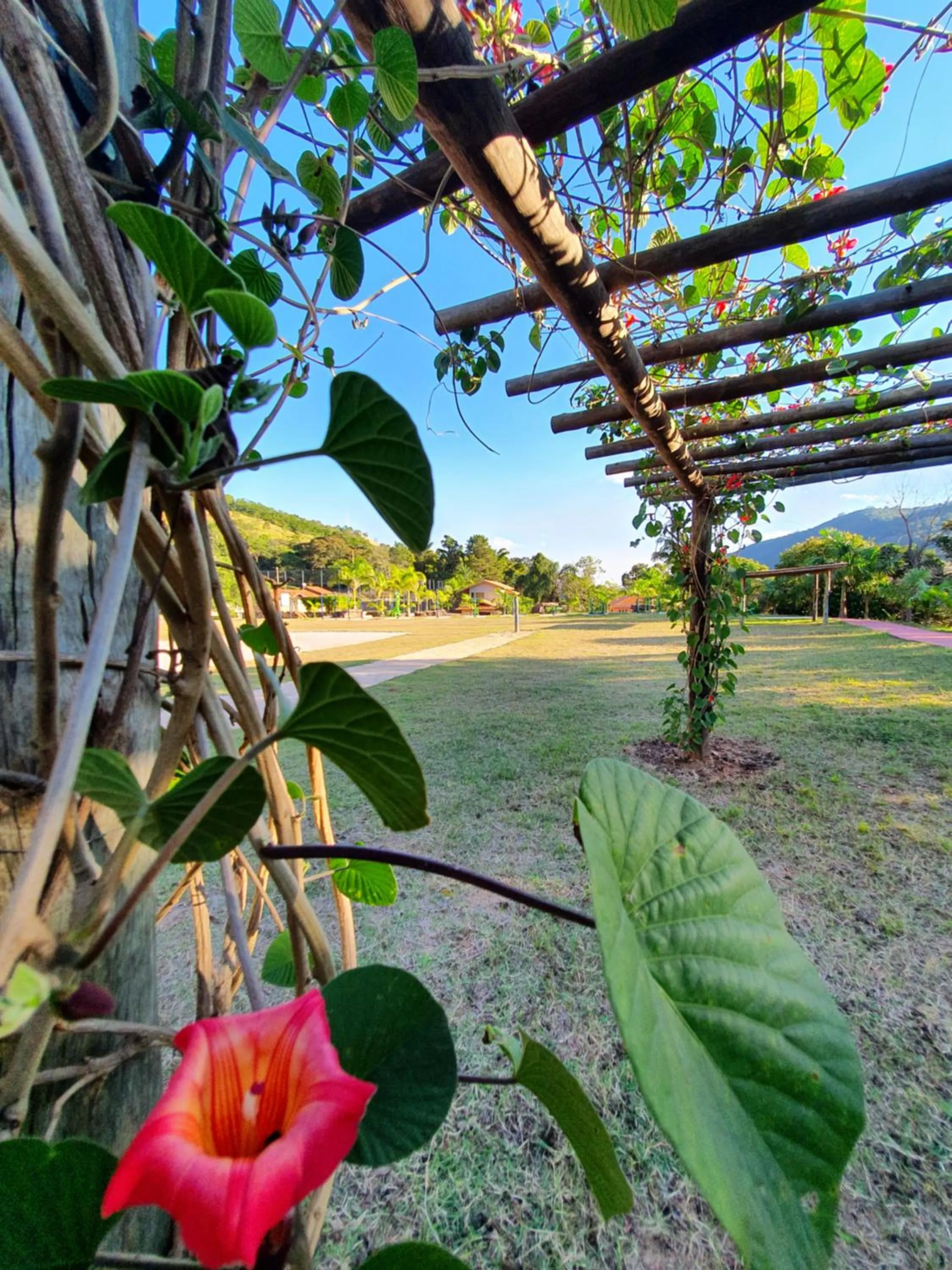 View (from property/room) in Pousada Nefelibatas