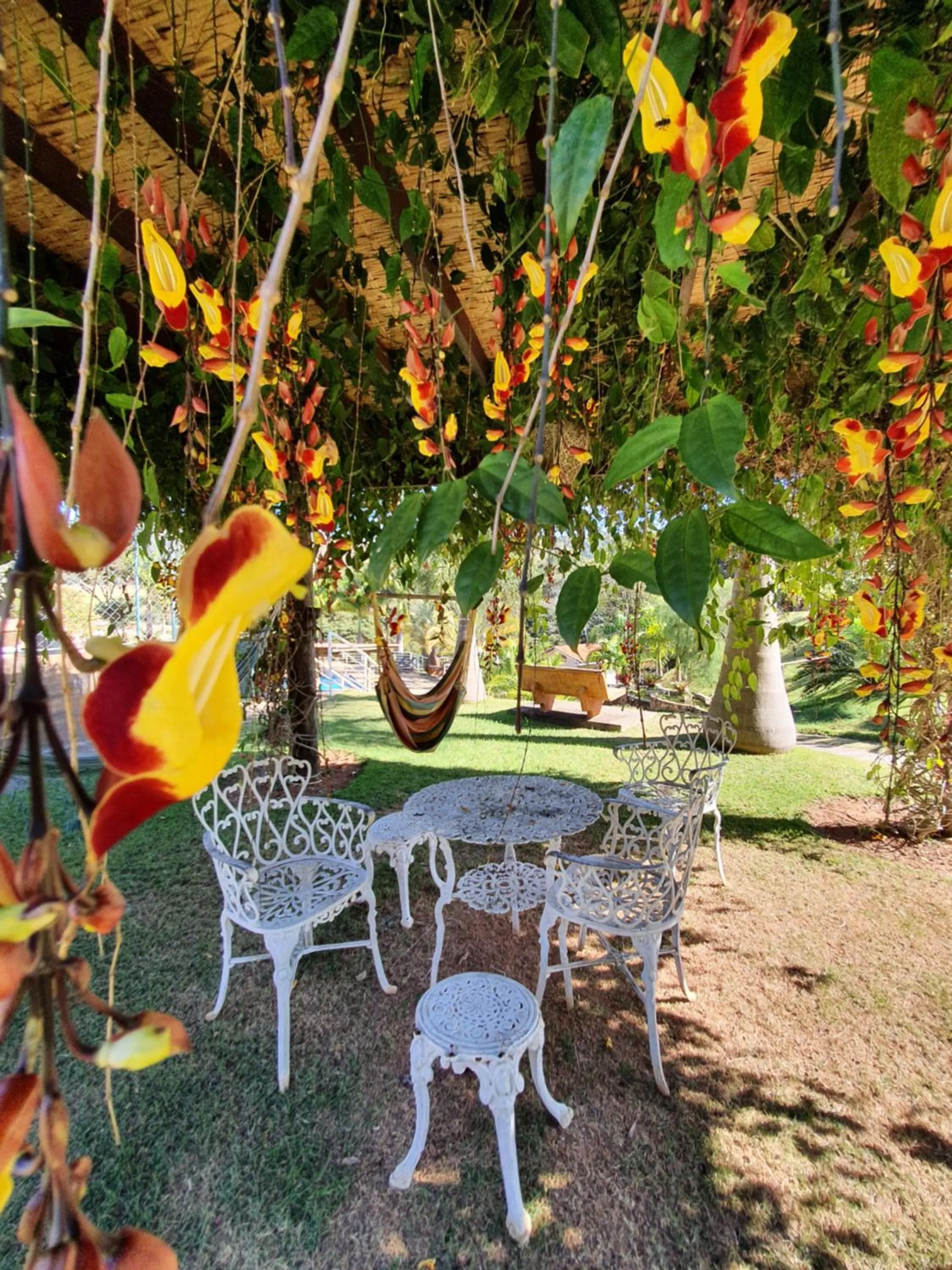 Garden in Pousada Nefelibatas