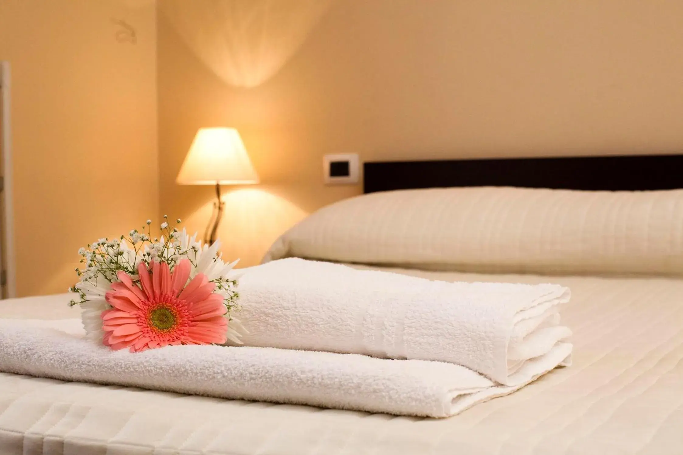 Double Room in Antiche Volte Double Room in Antiche Volte