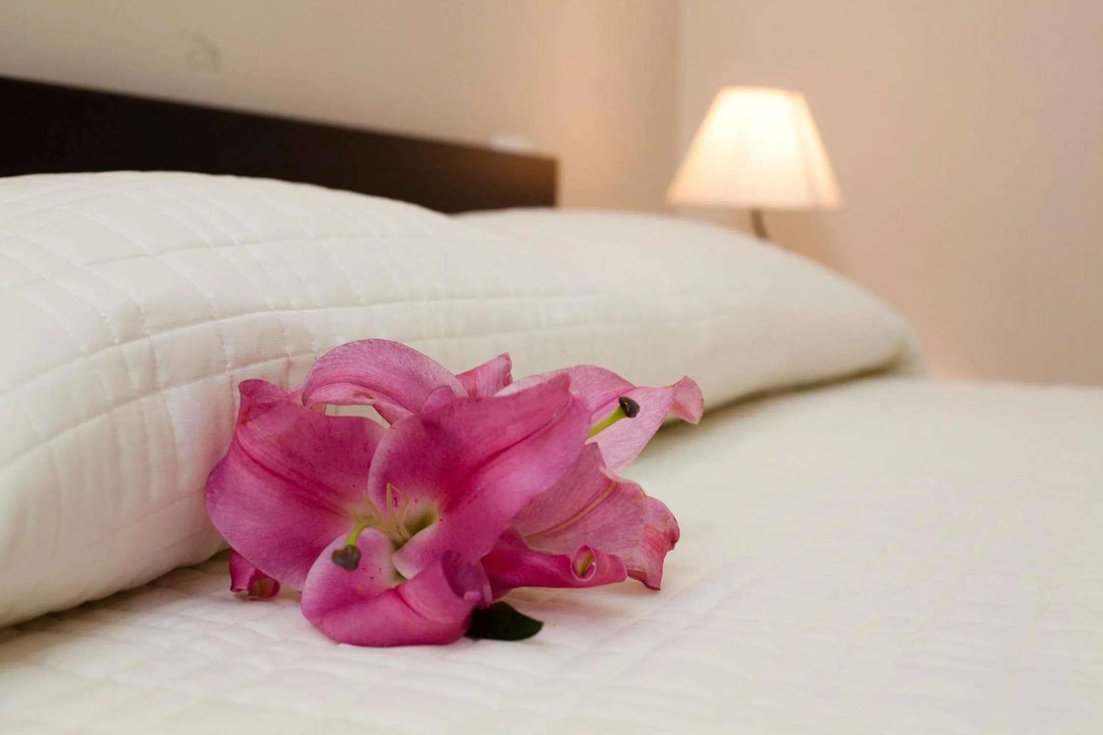 Bed in Antiche Volte