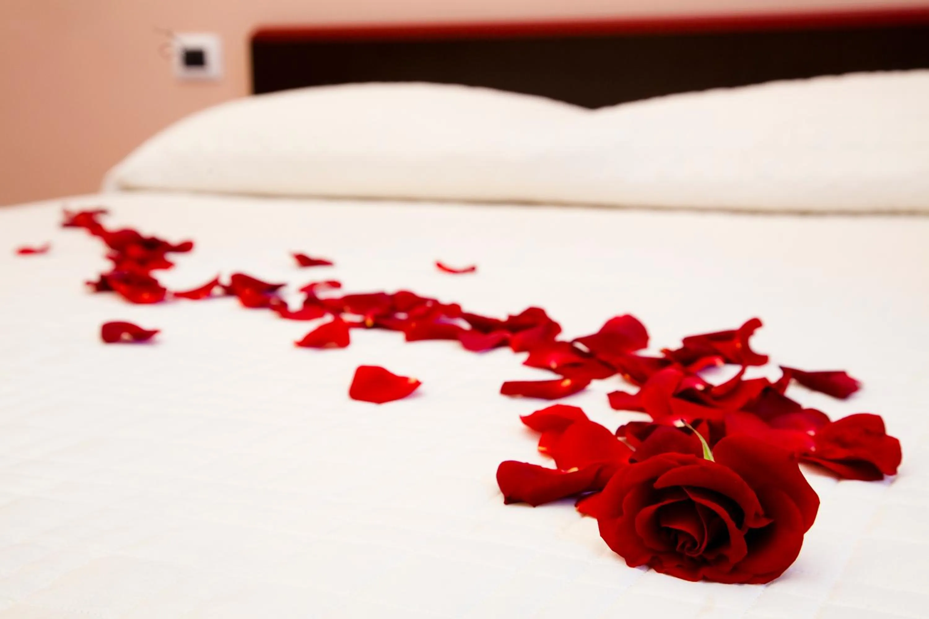 Bed in Antiche Volte