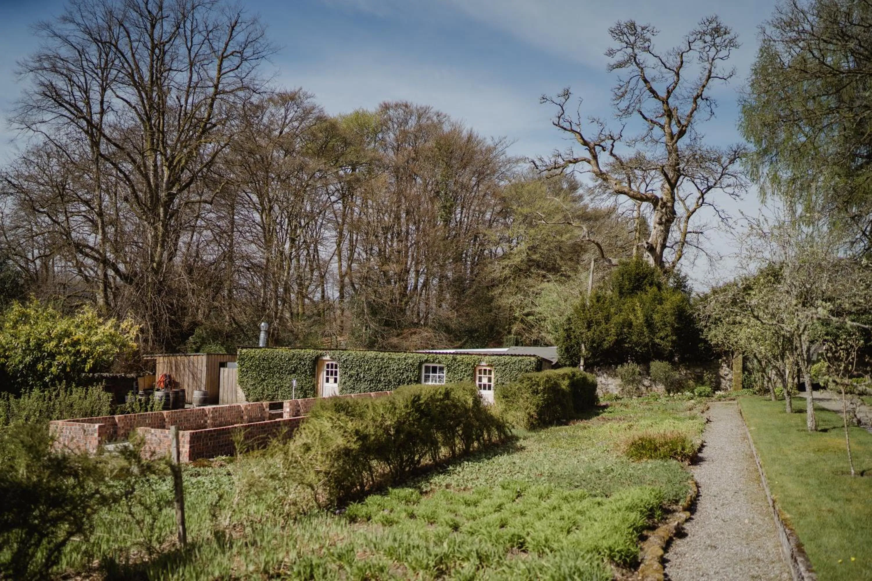 Garden in Thackray House