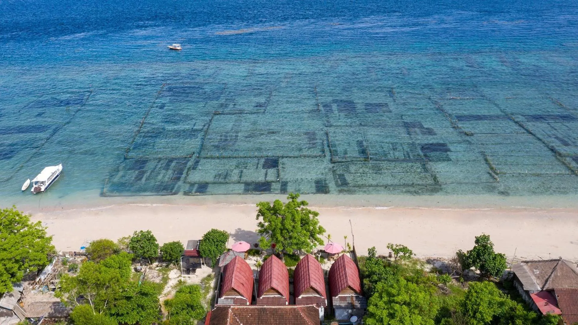 Natural landscape in Santen Beach Bungalows