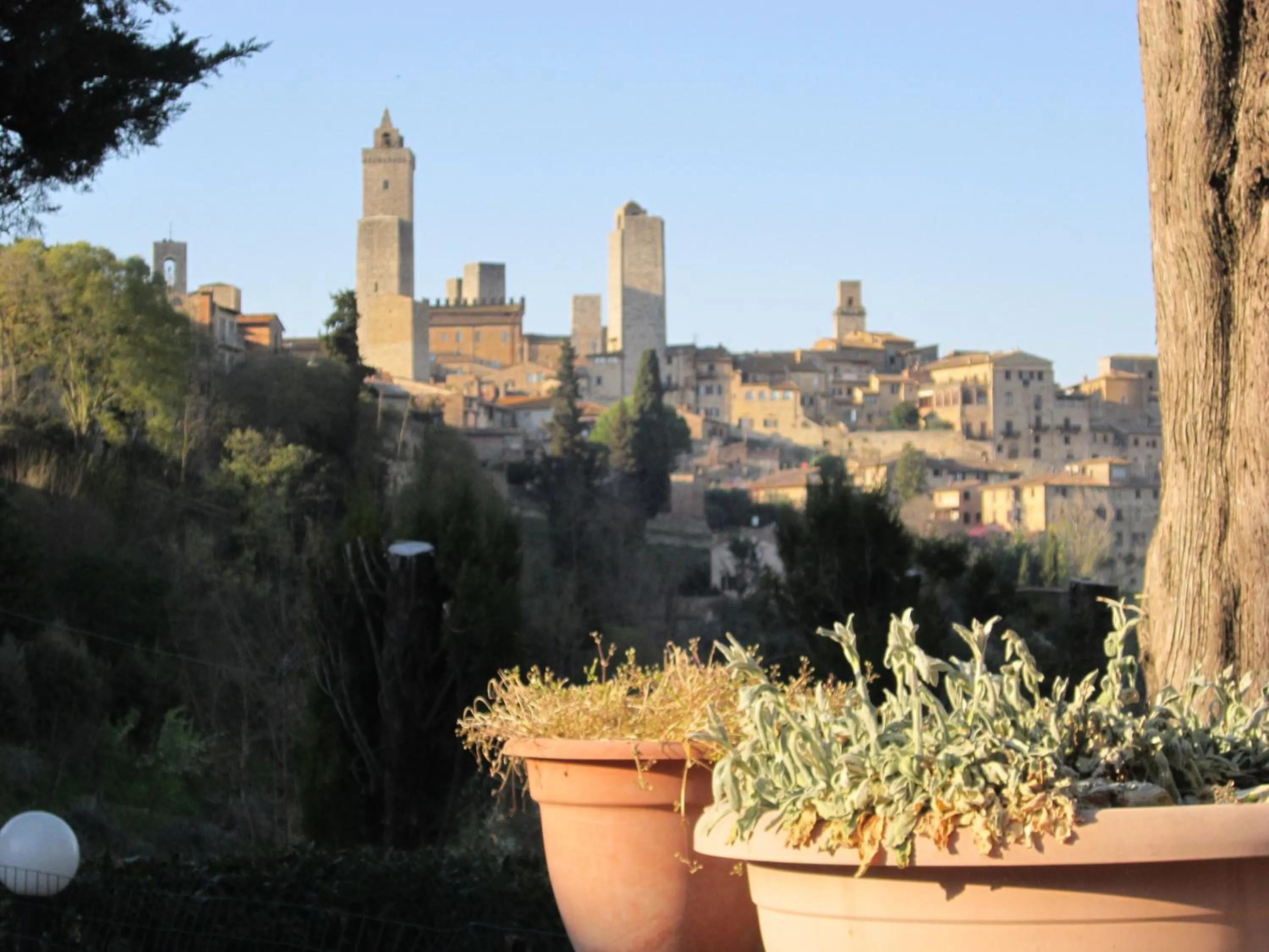 Agriturismo Il Colto