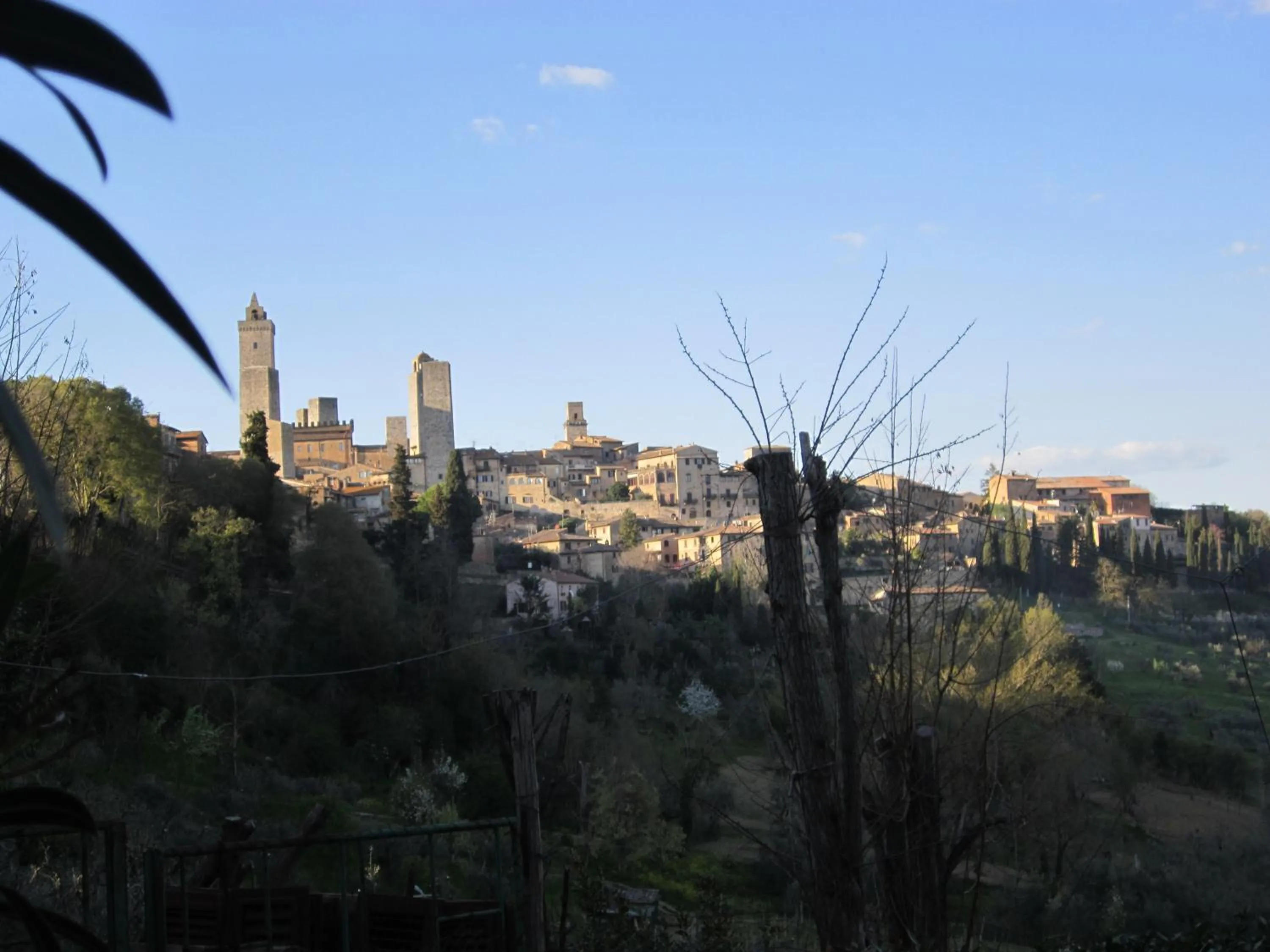Agriturismo Il Colto