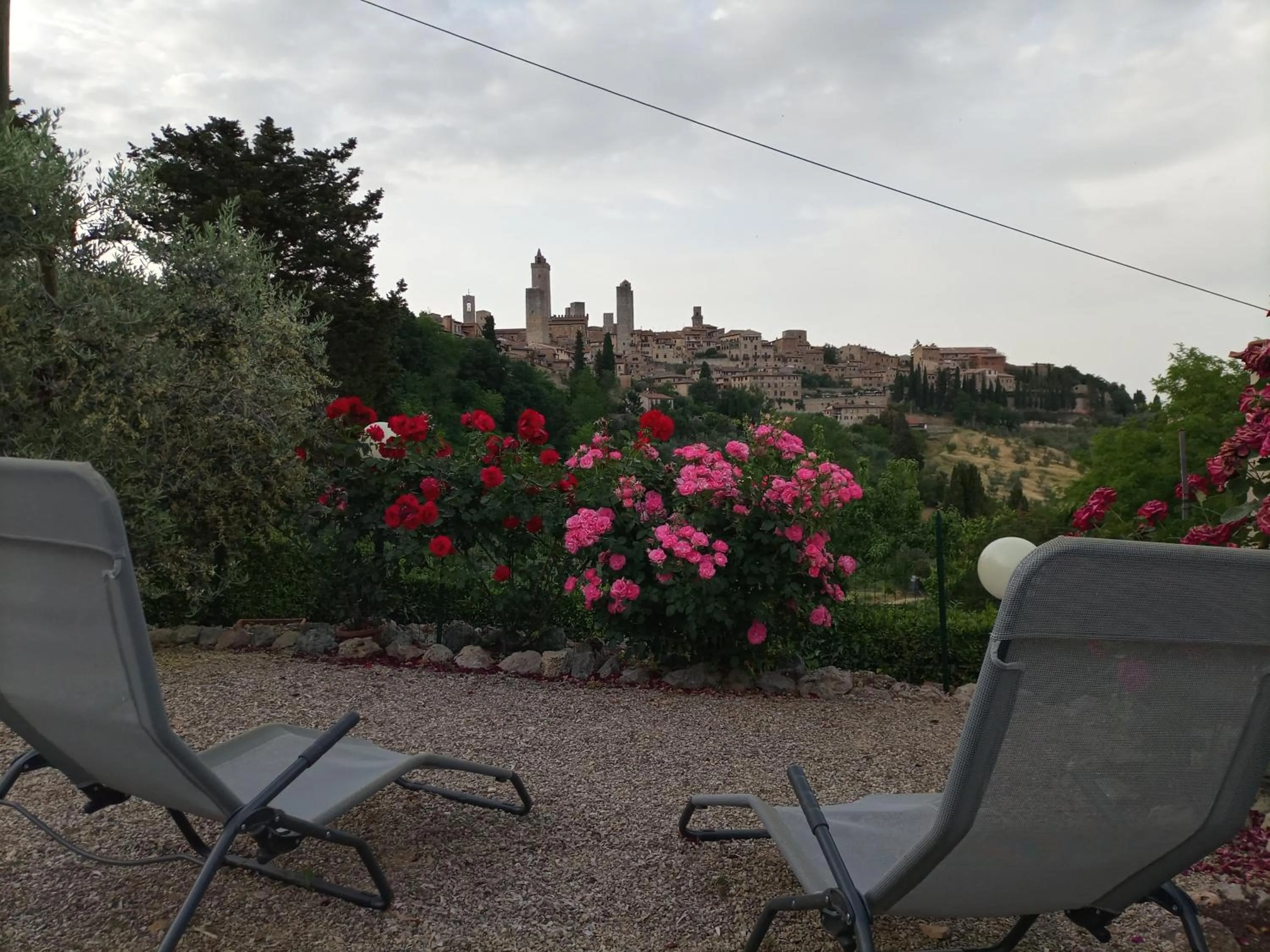Garden view in Agriturismo Il Colto