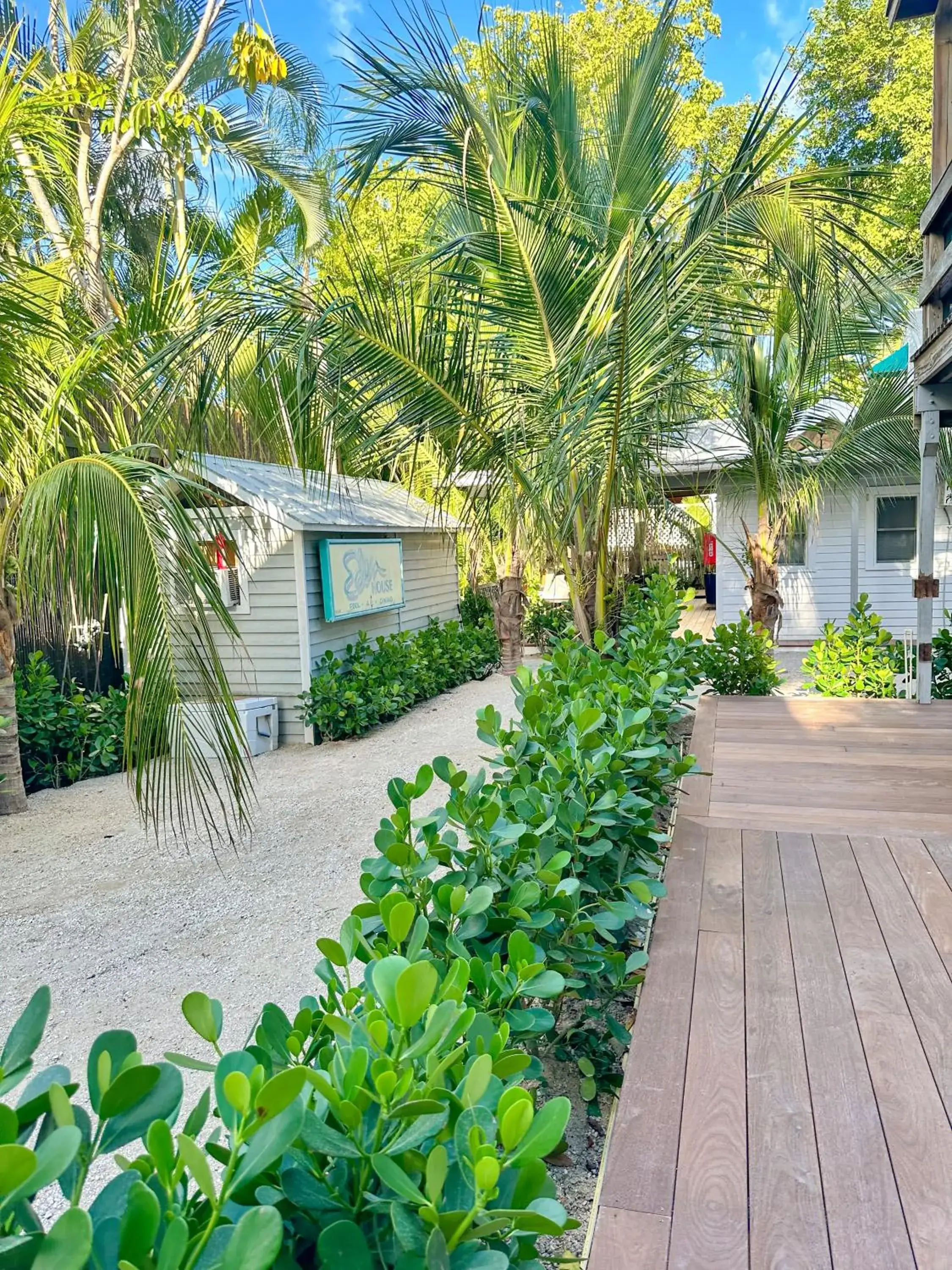 Garden view in Eden House Garden view in Eden House