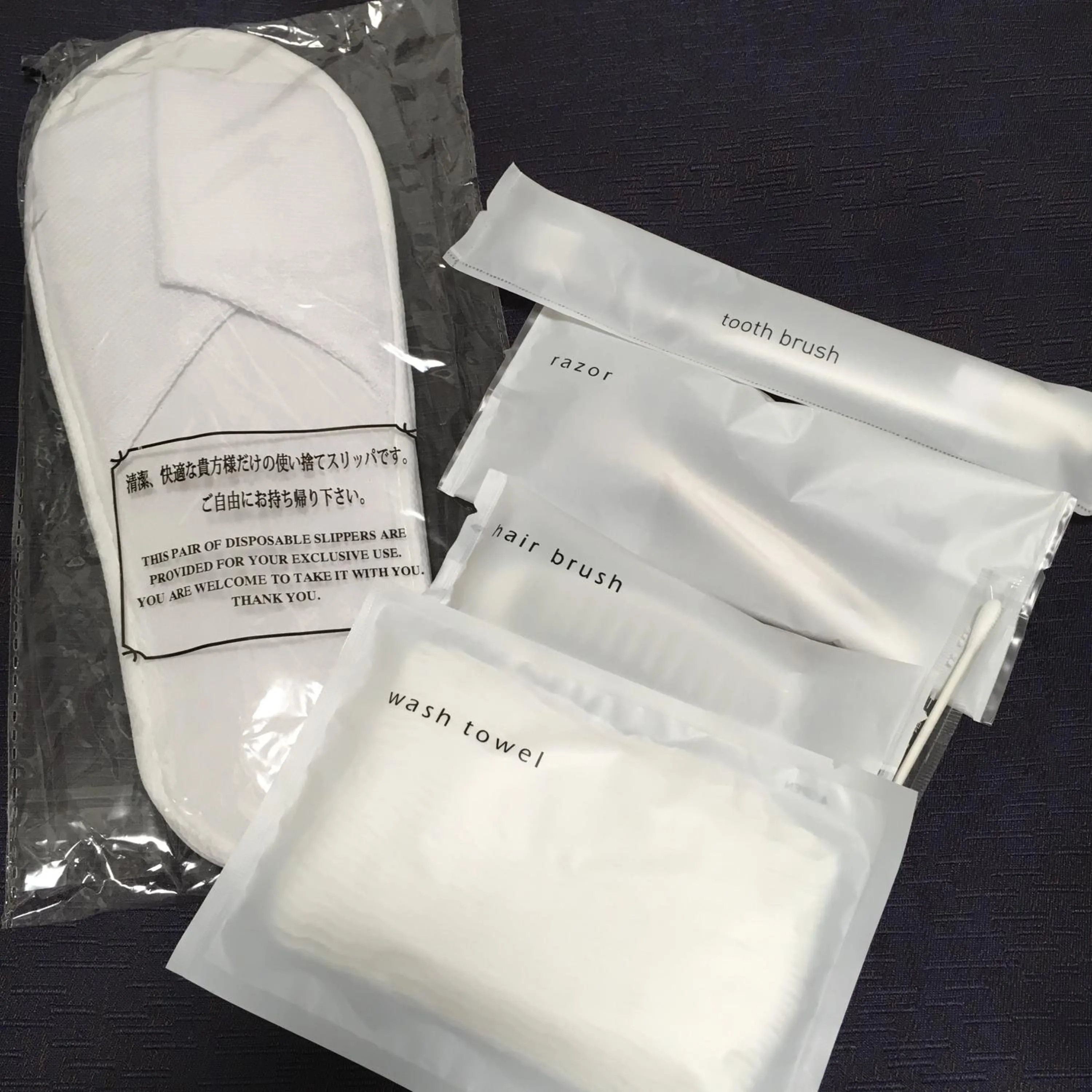 Other in Shinbashi Urban Hotel