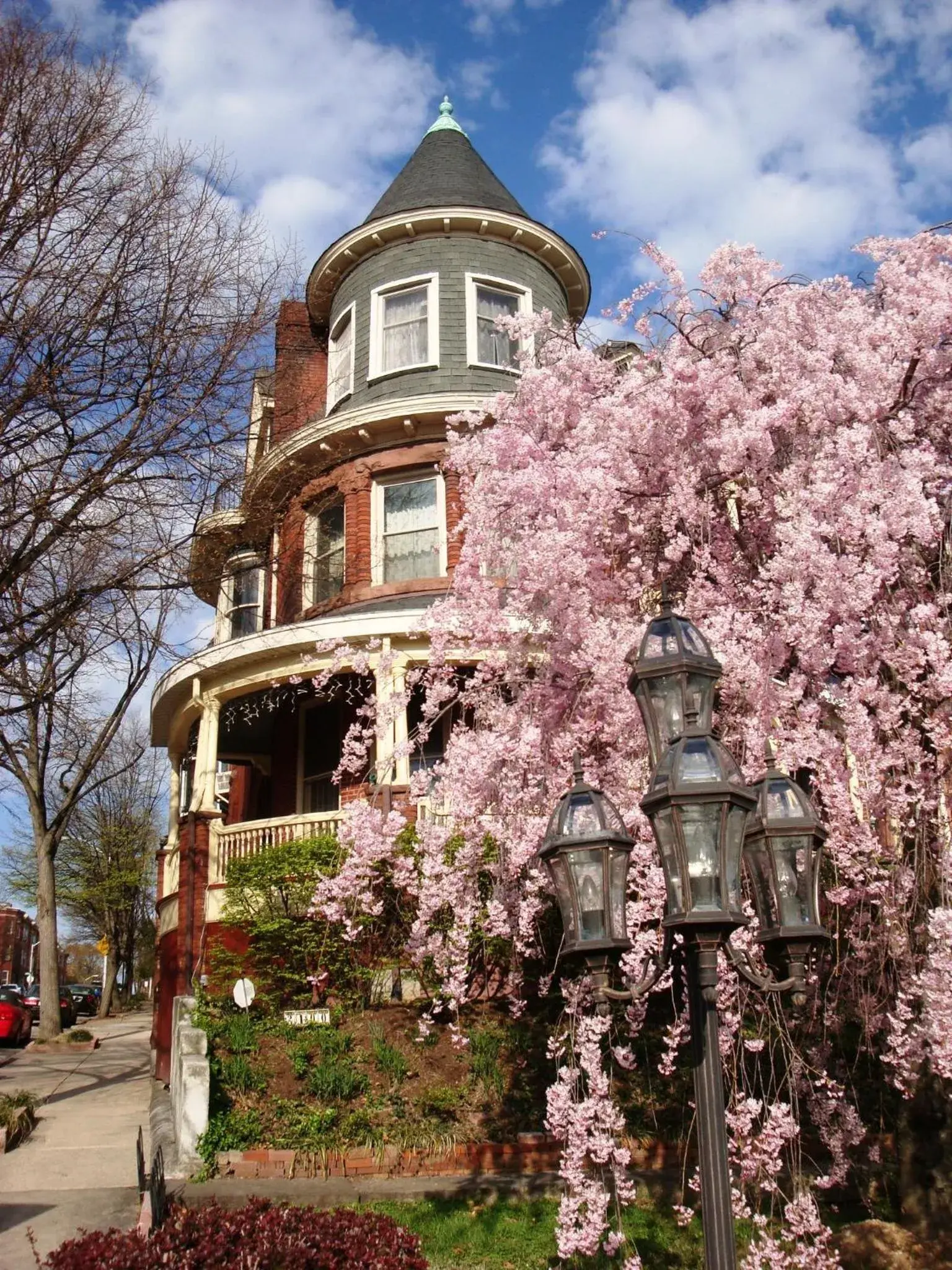 Wilson House Bed & Breakfast Wilson House Bed & Breakfast