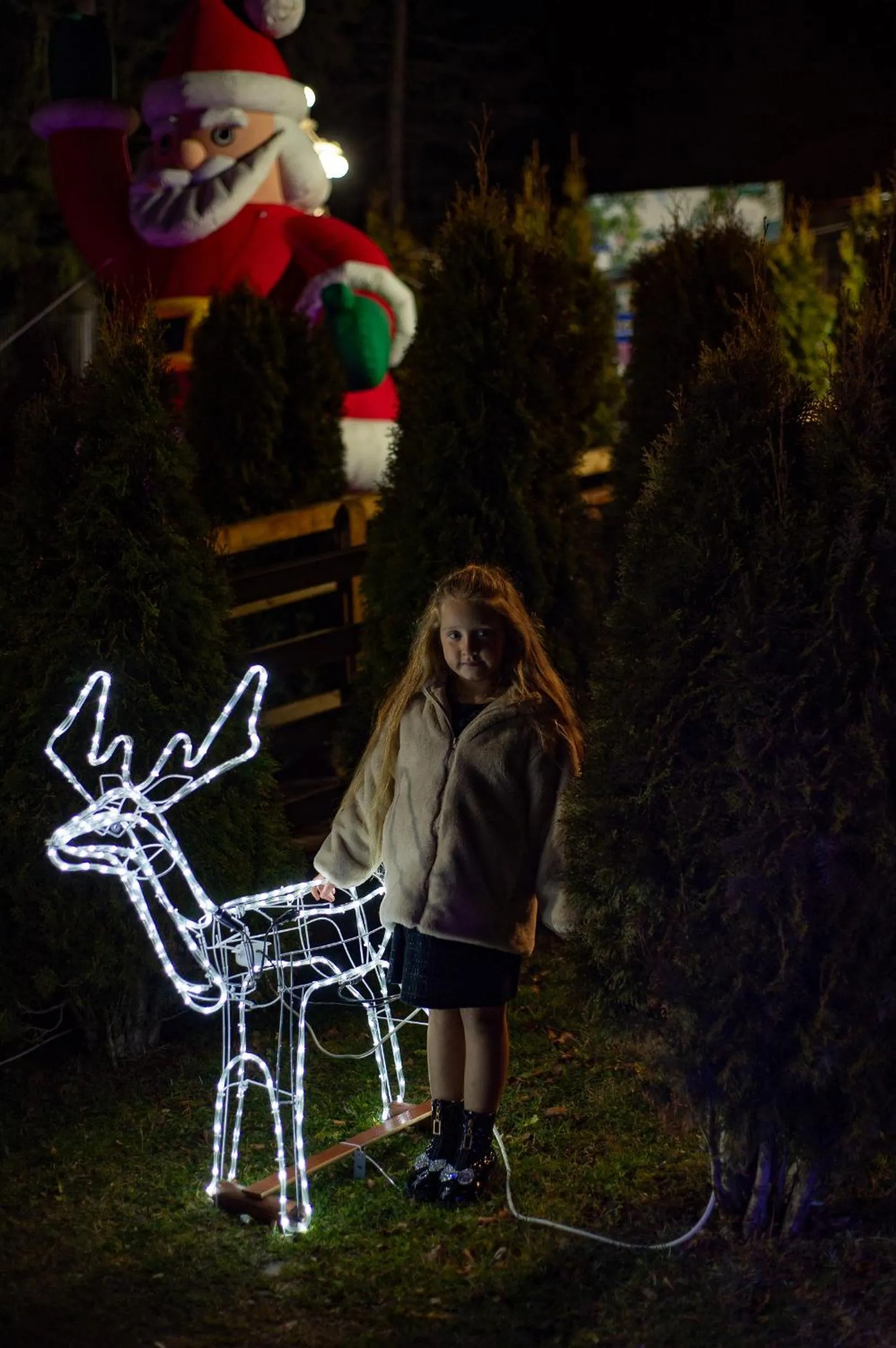 Night in Hotel Belvedere