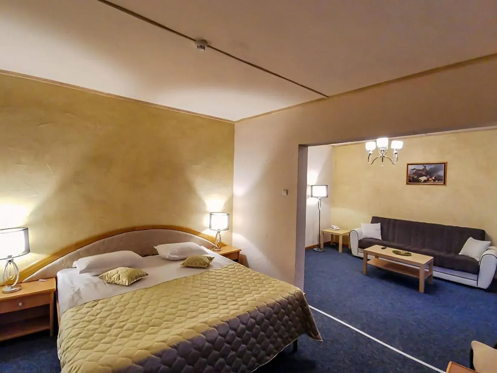 Suite in Hotel Belvedere Suite in Hotel Belvedere