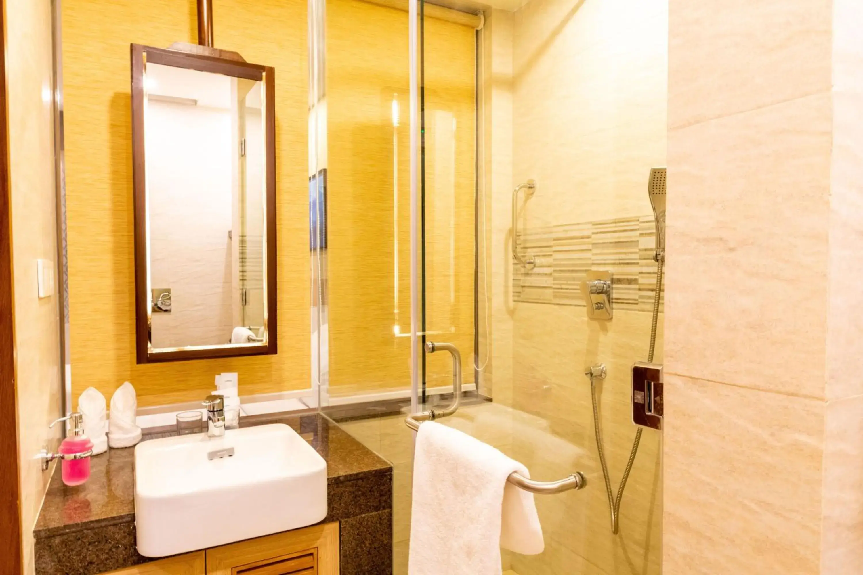 Deluxe Room King Bed - single occupancy in The Fern Residency- Hotel Chitwan Deluxe Room King Bed - single occupancy in The Fern Residency- Hotel Chitwan