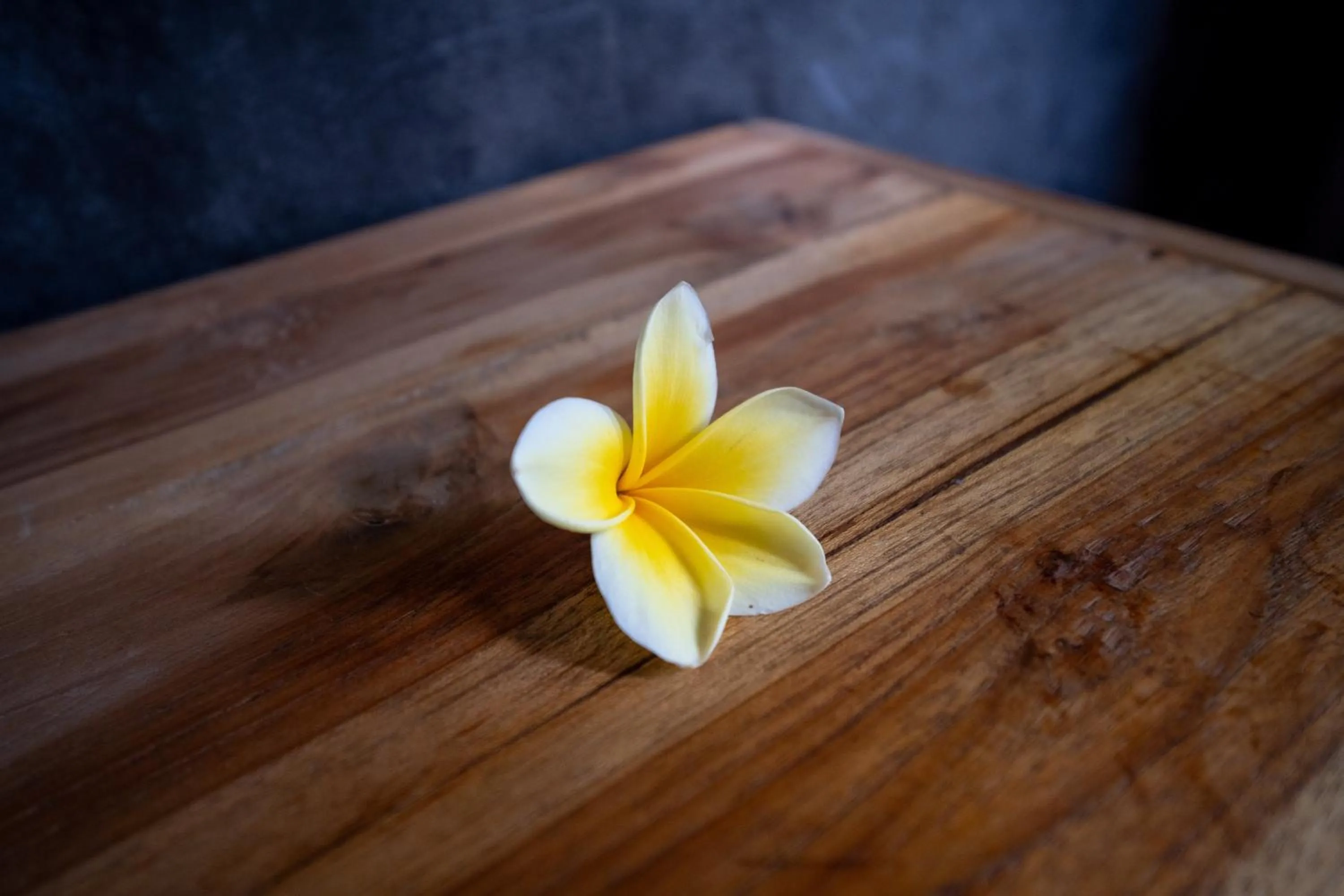 Dedeane Hotel & Yoga Retreat