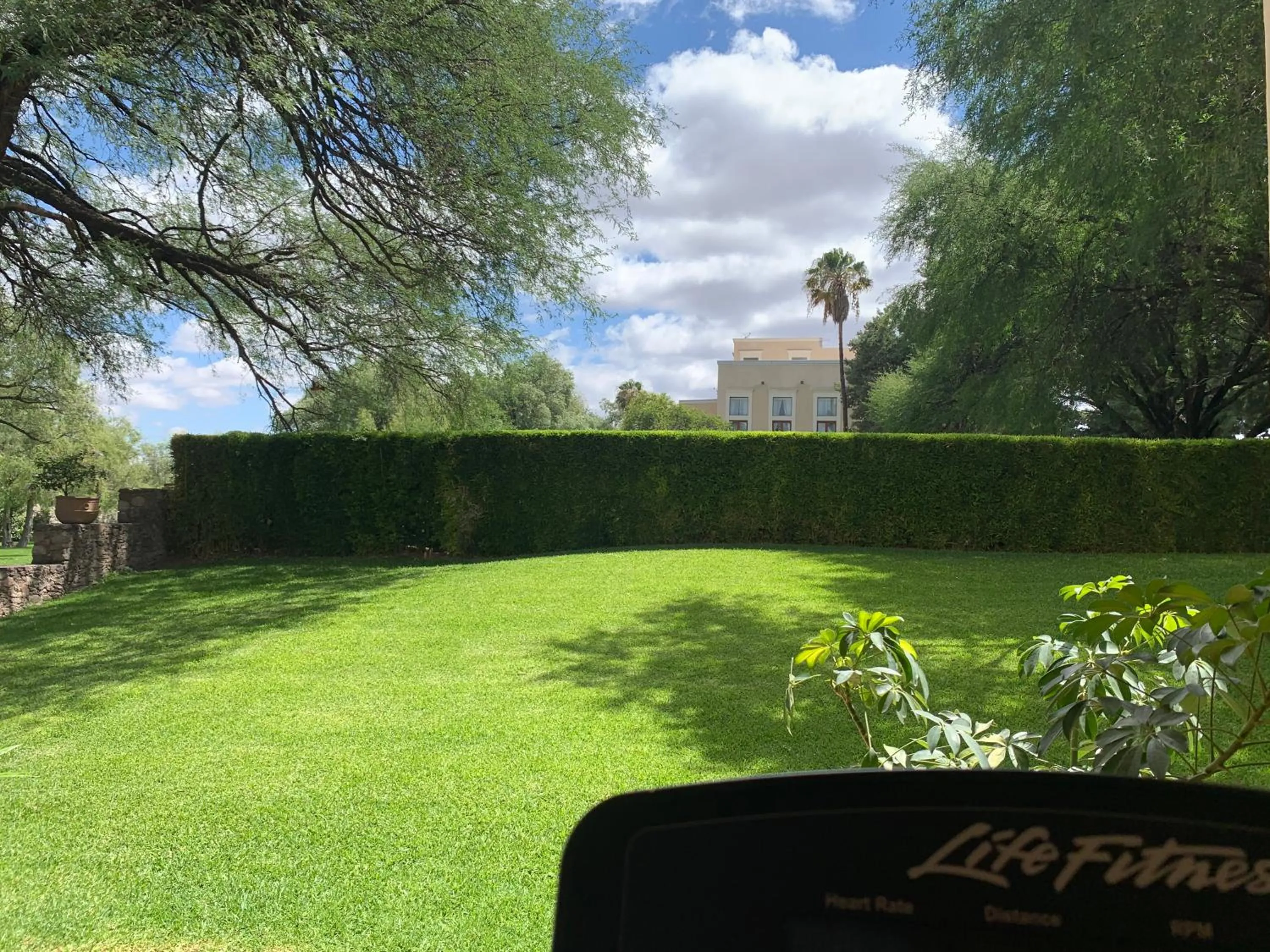 Garden in Villa Antigua