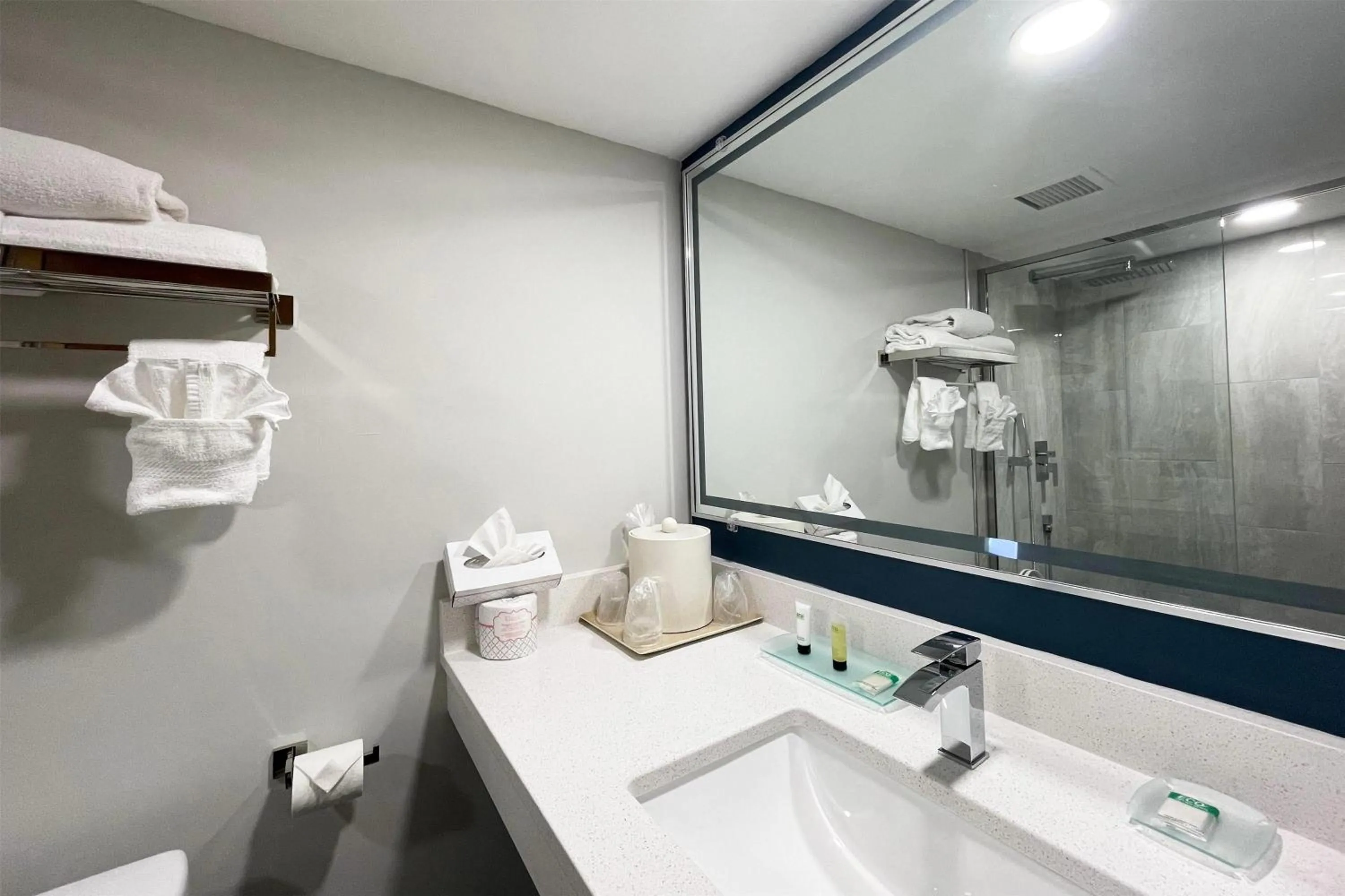 Bathroom in Chateau Hotel and Conference Center