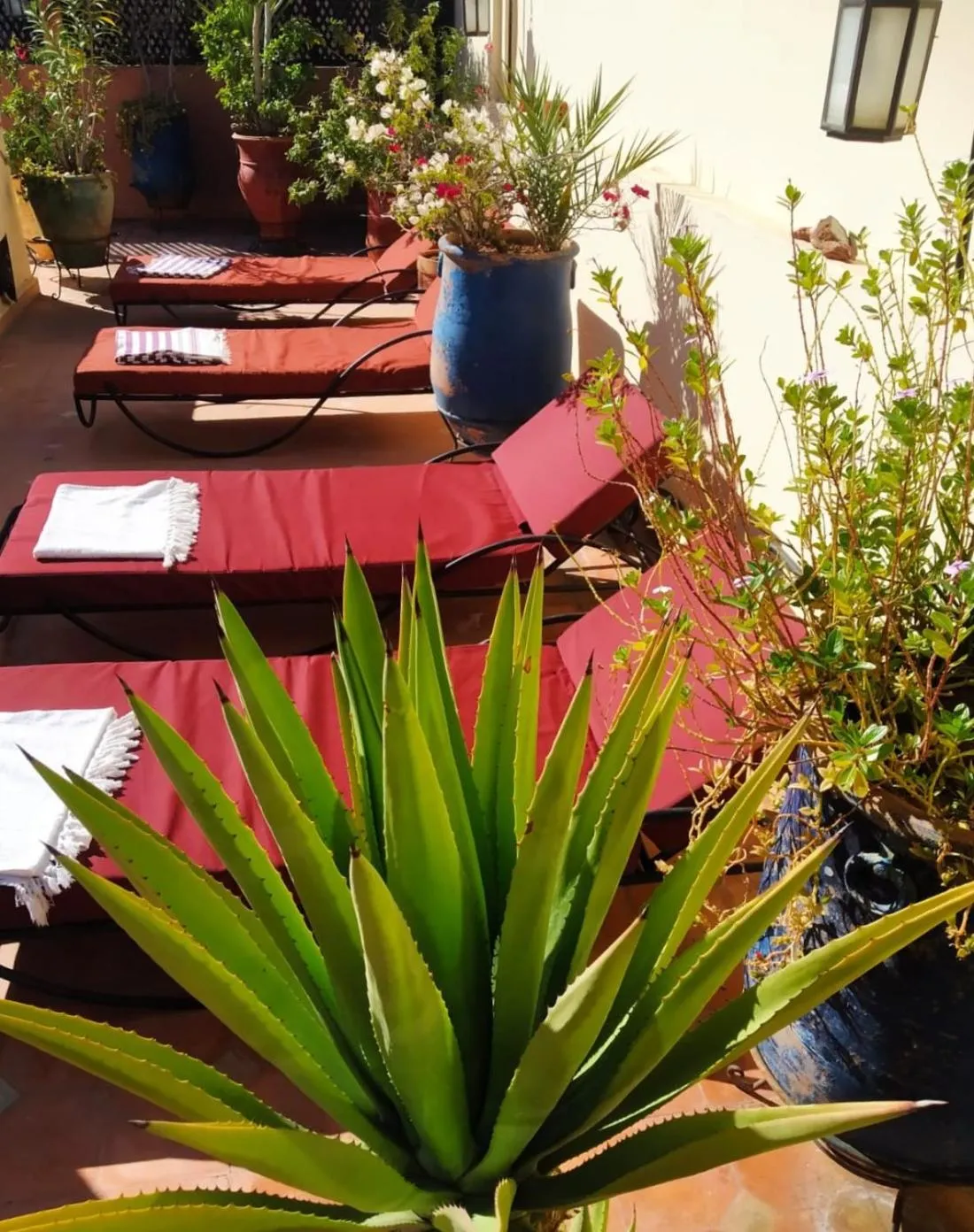 Solarium in Riad Dar Zampa