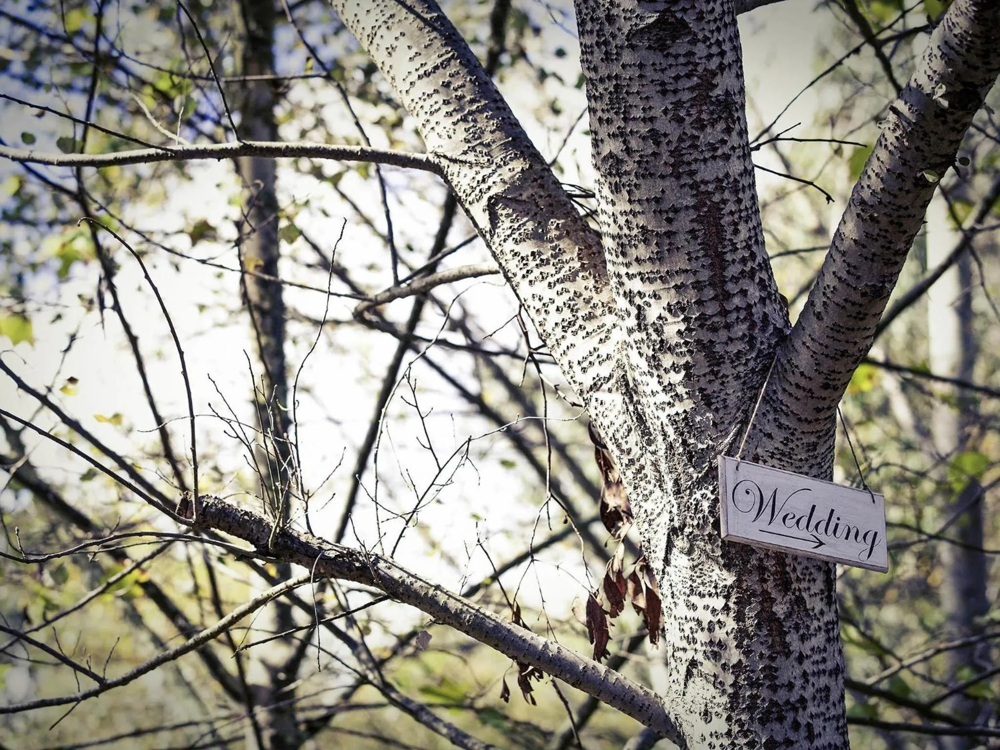 wedding in Mercure Ballarat Hotel & Convention Centre