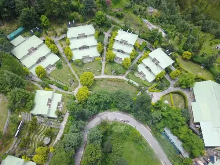 Bird's eye view in Club Mahindra Binsar Valley Bird's eye view in Club Mahindra Binsar Valley