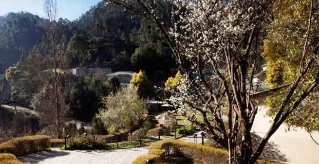 Natural landscape in Club Mahindra Binsar Valley