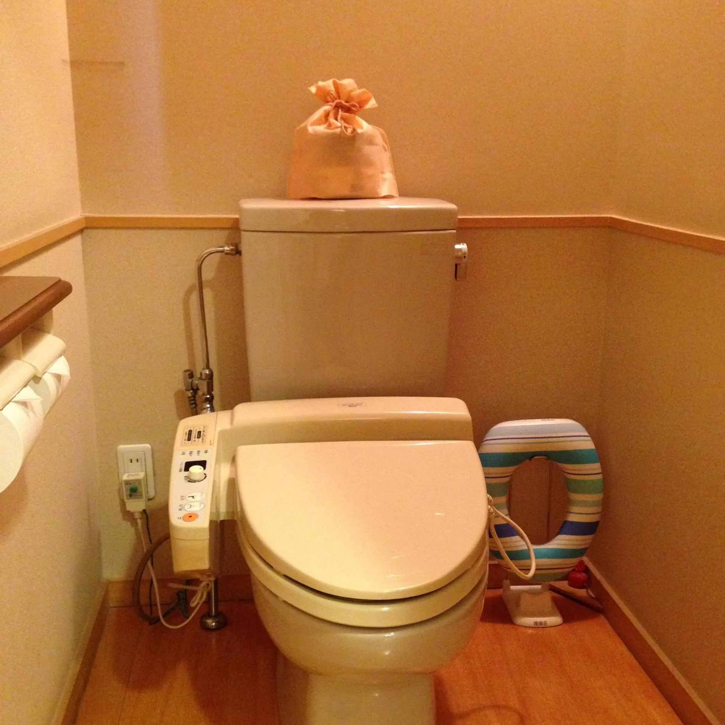 Toilet in Fujikawaguchiko Onsen Konanso