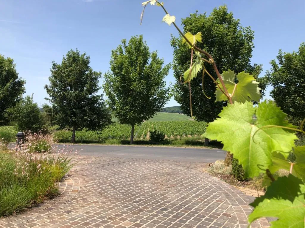 Spring in Hôtel Restaurant Les Grains d'Argent Dizy - Epernay