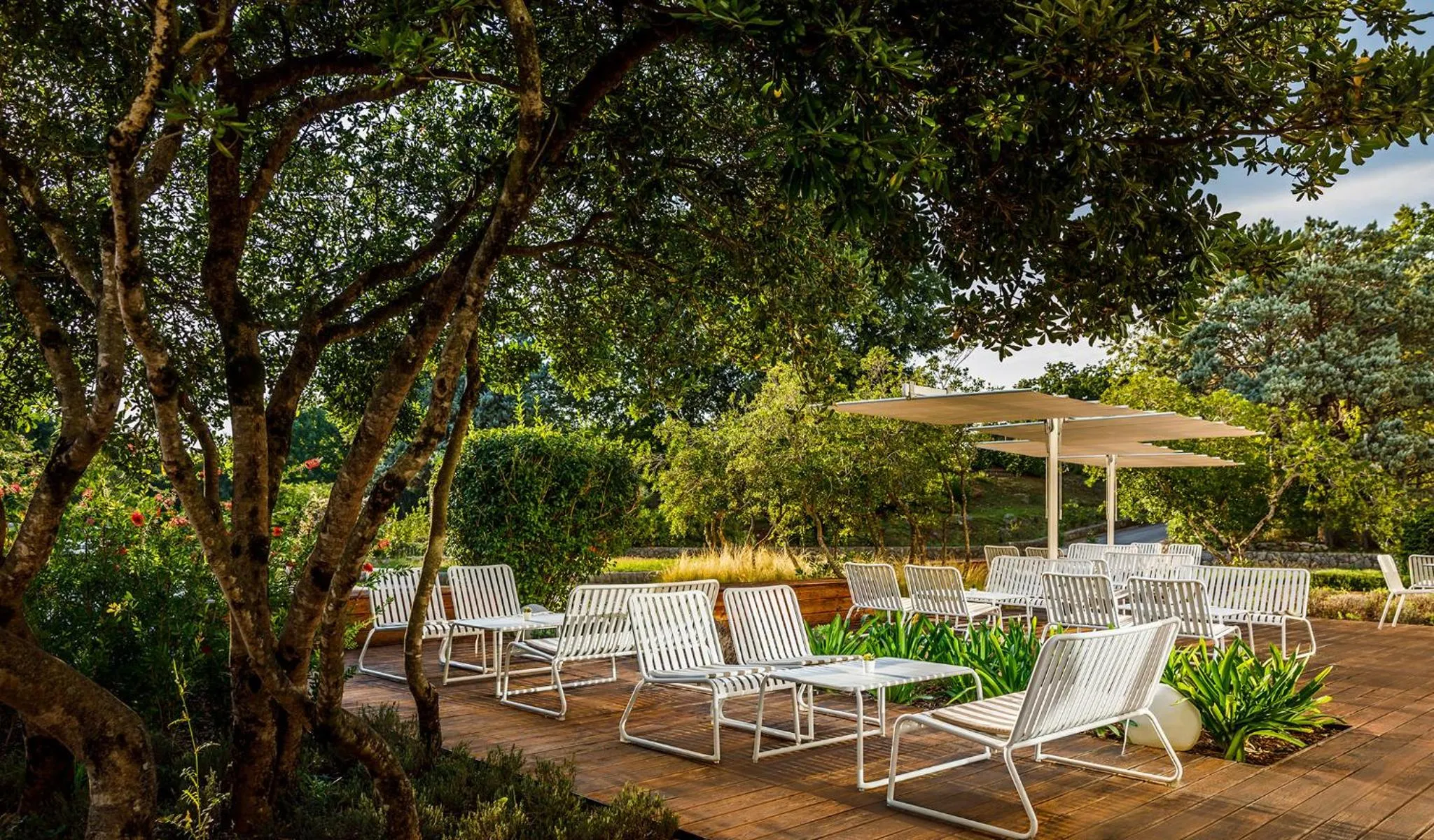 Natural landscape in Magal Maradiso Hotel by Aminess