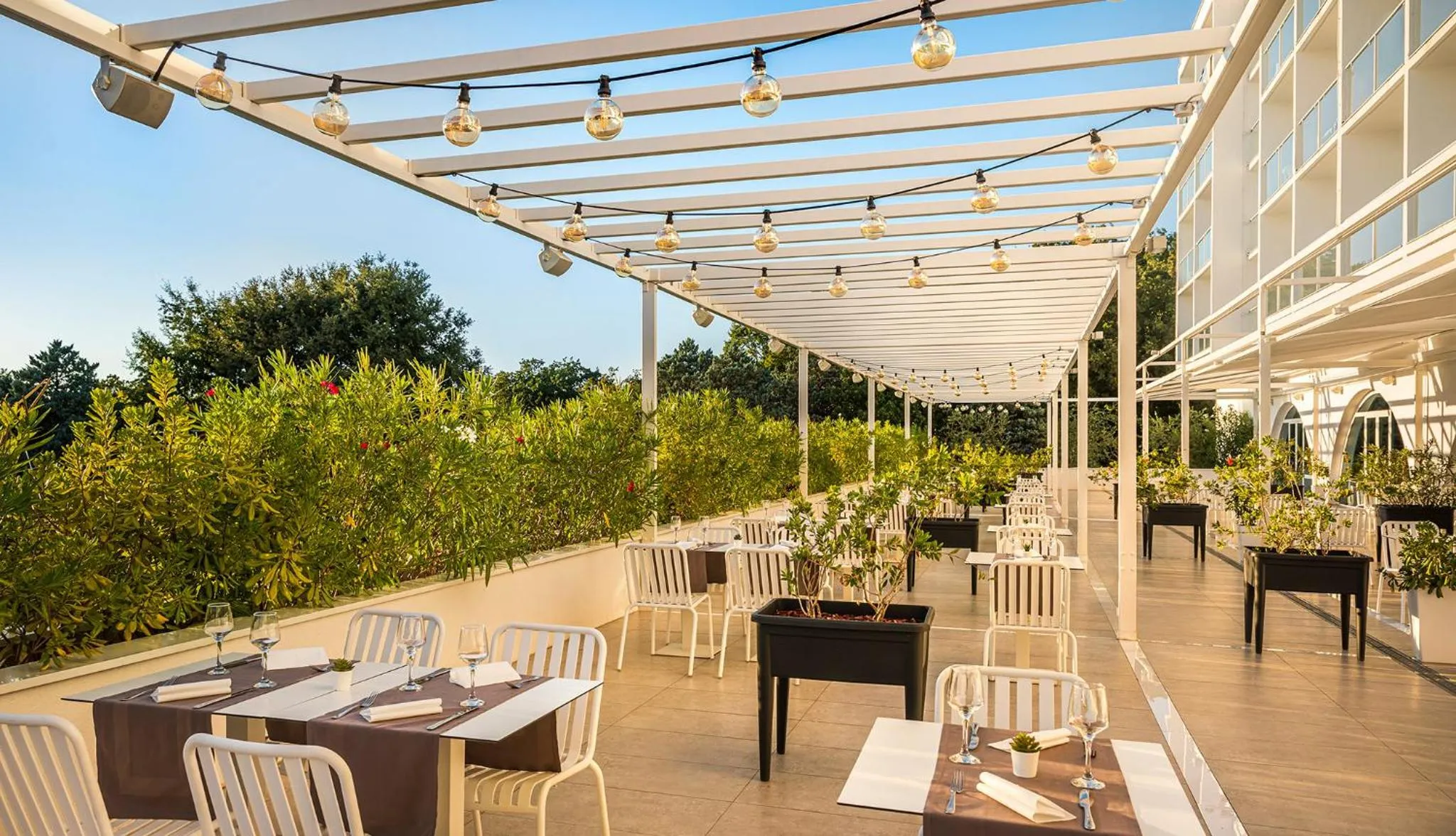 Restaurant/places to eat in Magal Maradiso Hotel by Aminess