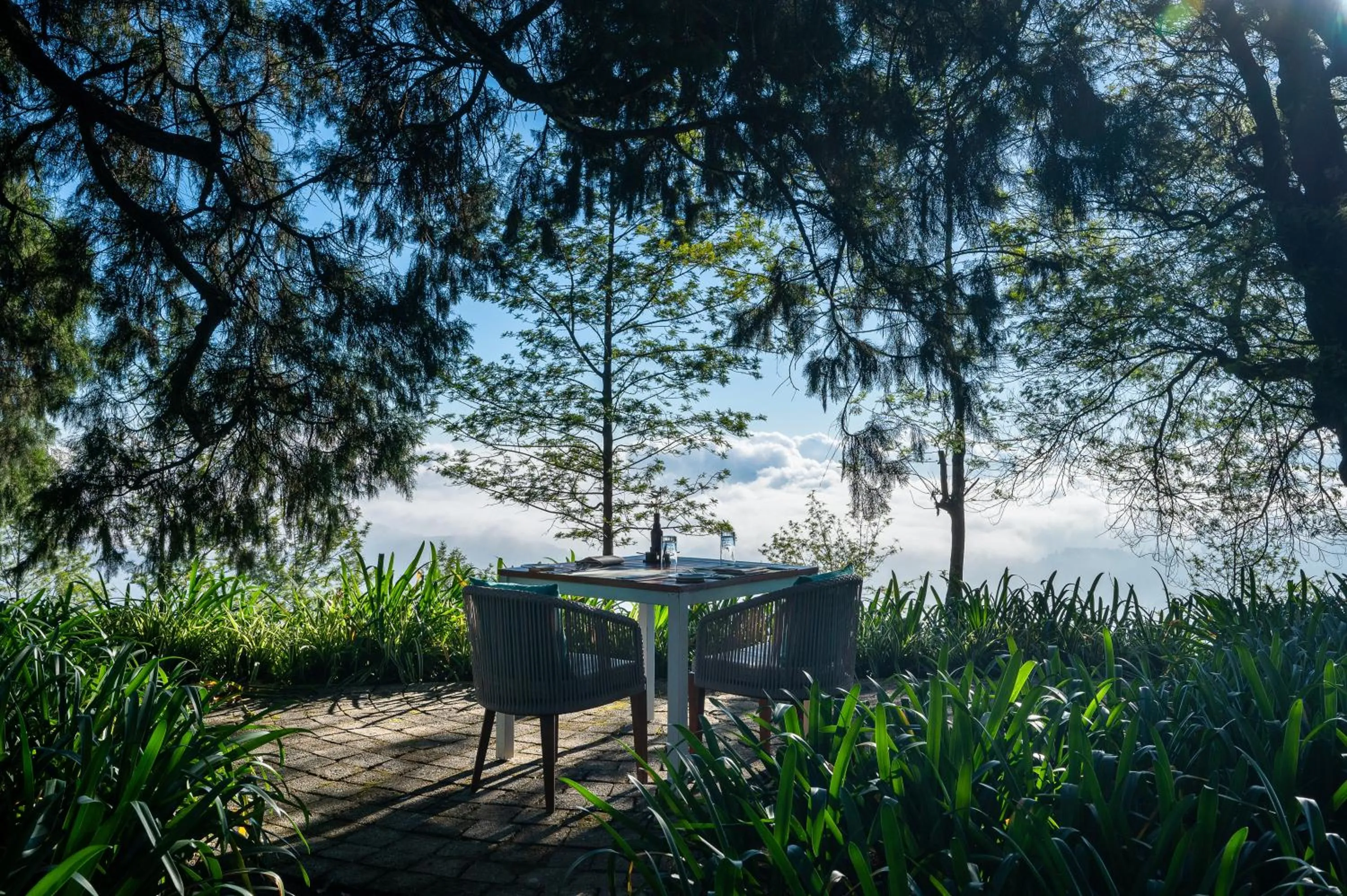 Natural landscape in Goatfell - Nuwara Eliya