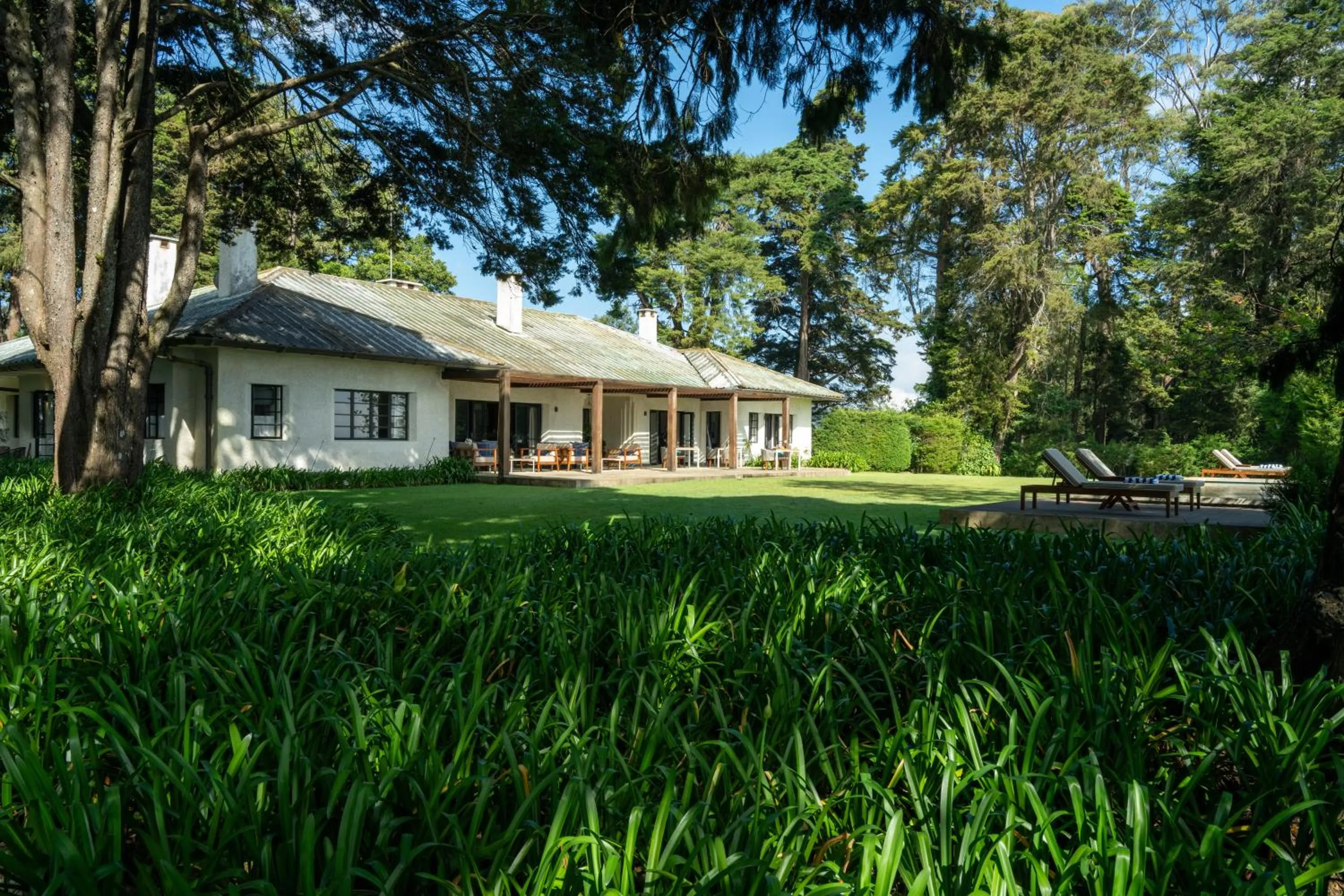 Property building in Goatfell - Nuwara Eliya