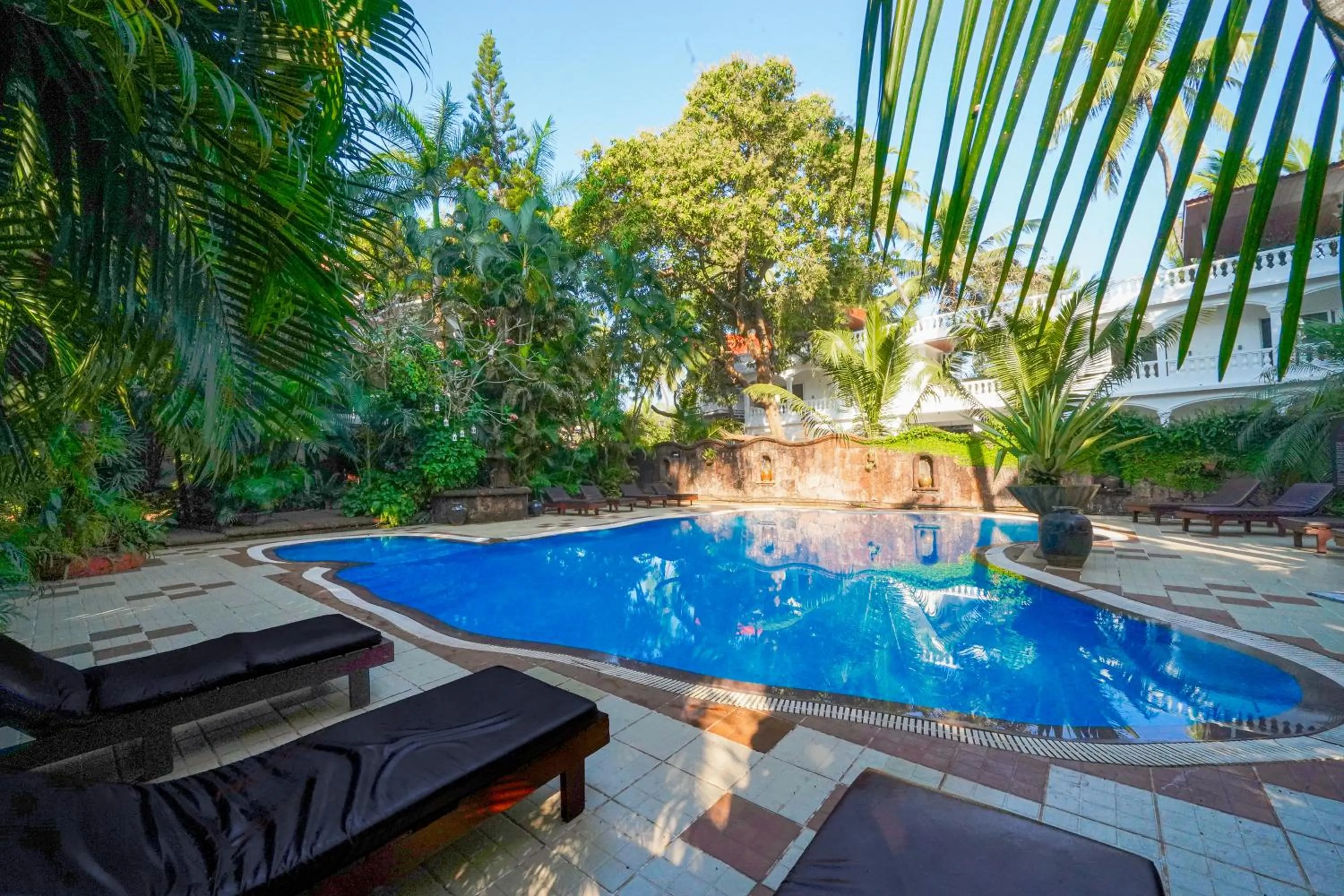 Garden in Olive Hotel Alidia Beach Resort by Embassy Group