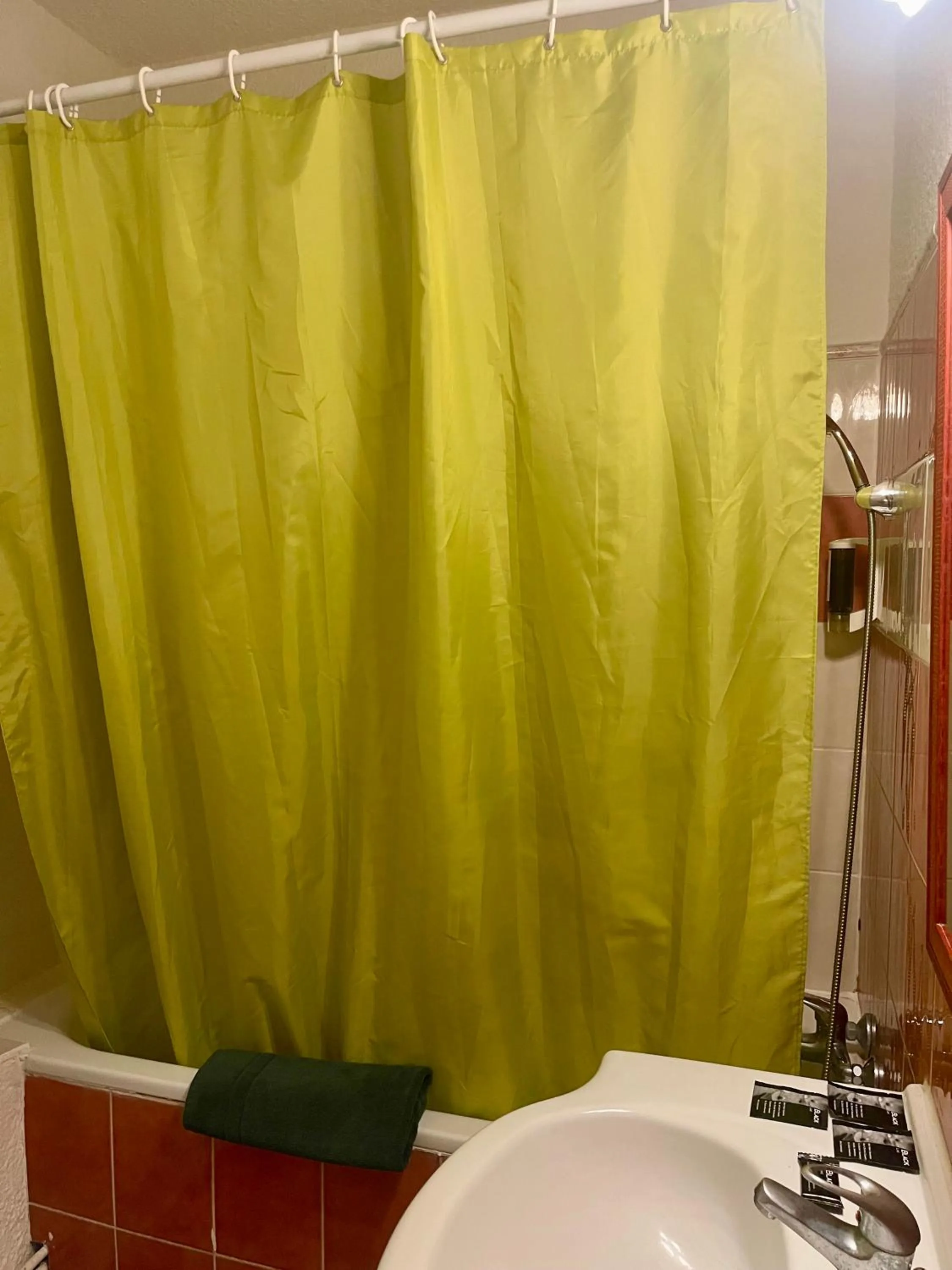 Bathroom in Hotel Alexander