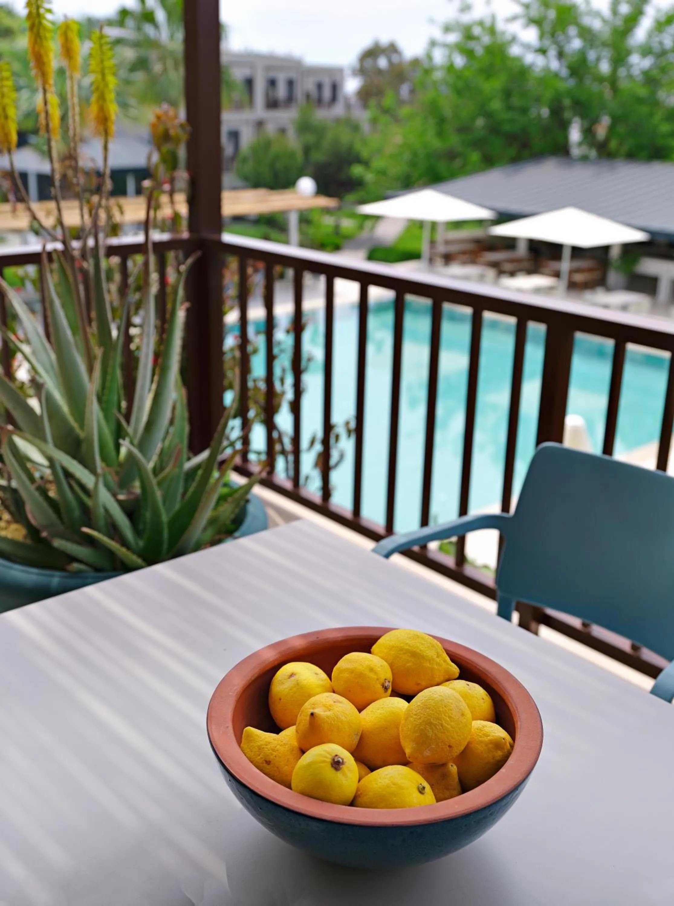 Pool view in Dorman Suites