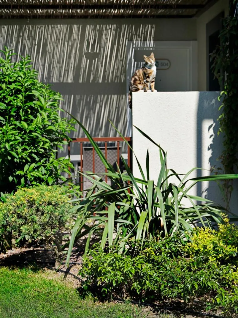 Garden in Dorman Suites