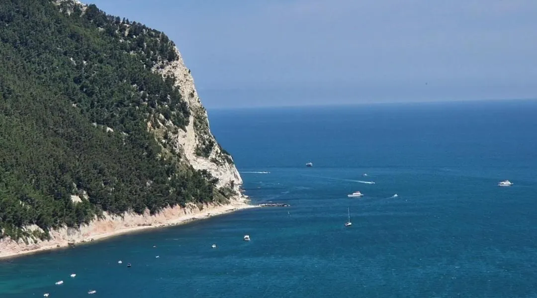 Activities in B&B I Pini Di Storaco