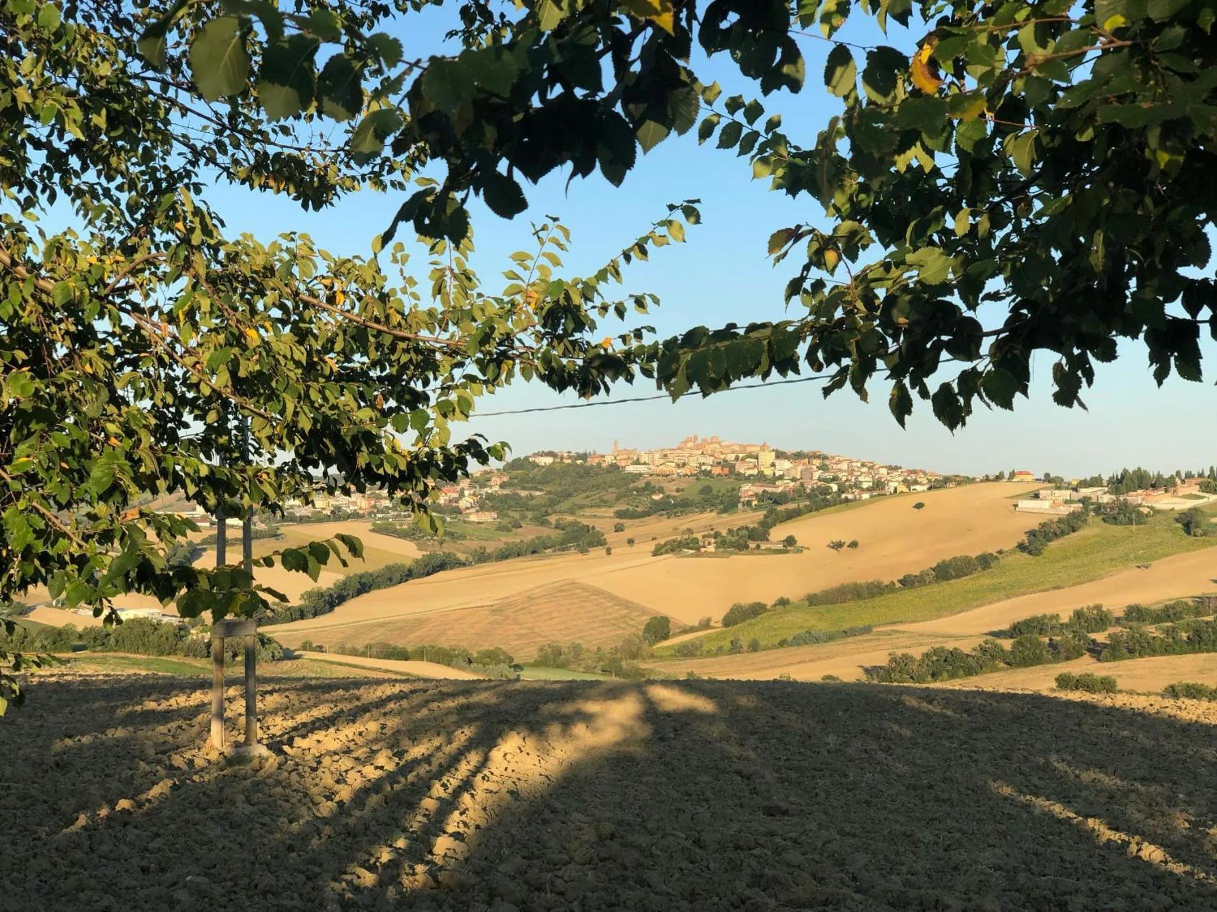 Natural landscape in B&B I Pini Di Storaco