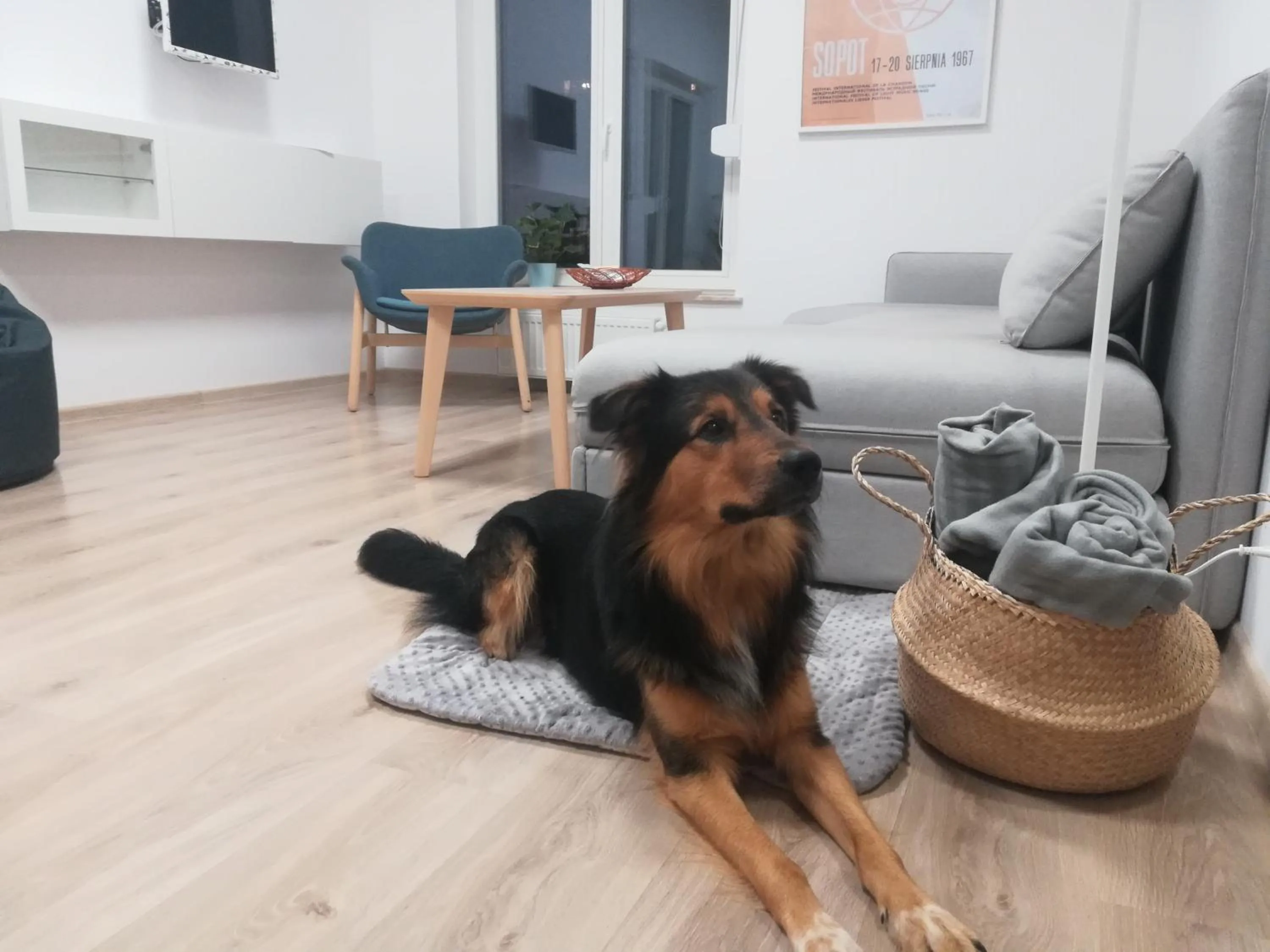 Pets in Dom gościnny Luk Luk