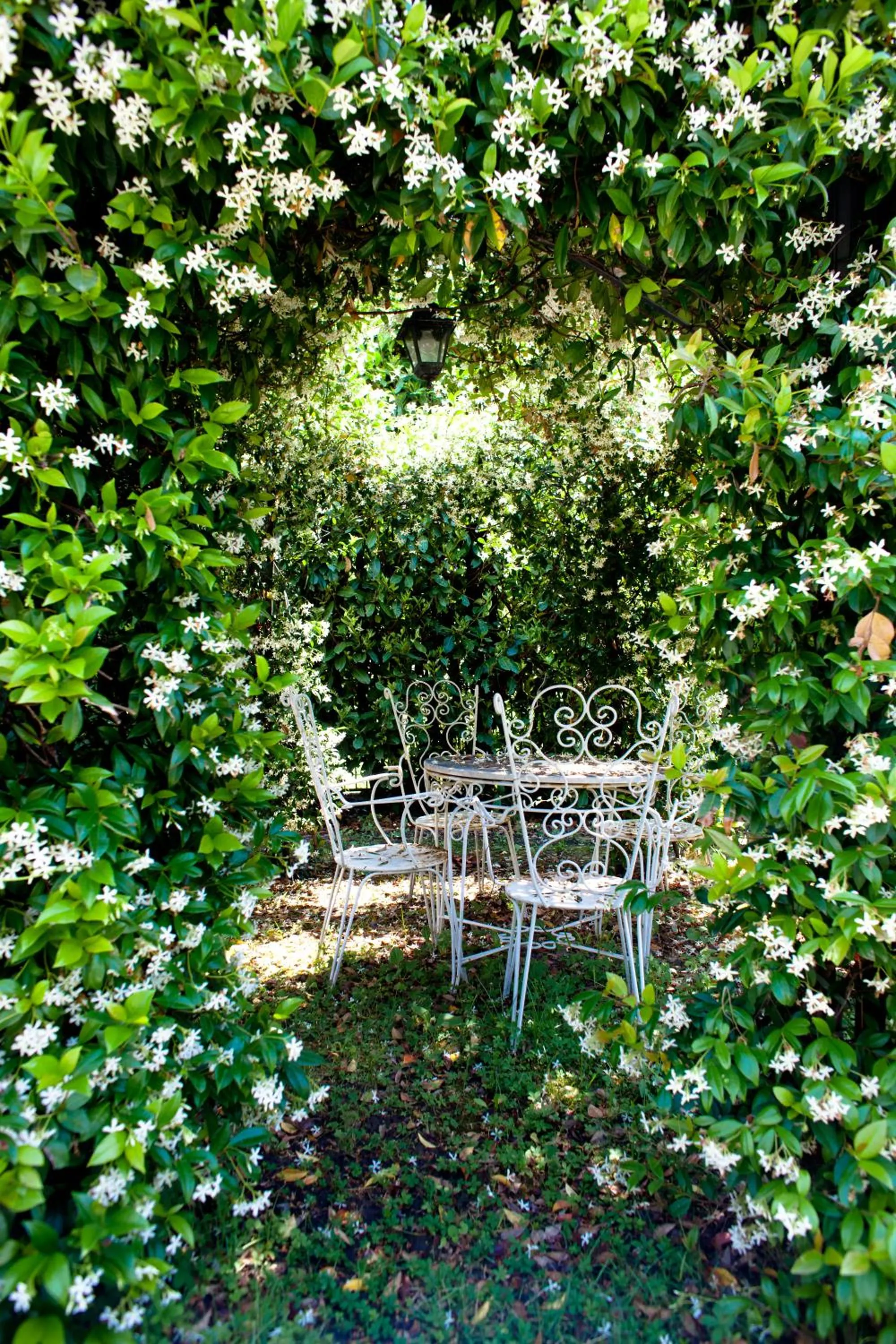 Garden in B&B Al Calcandola