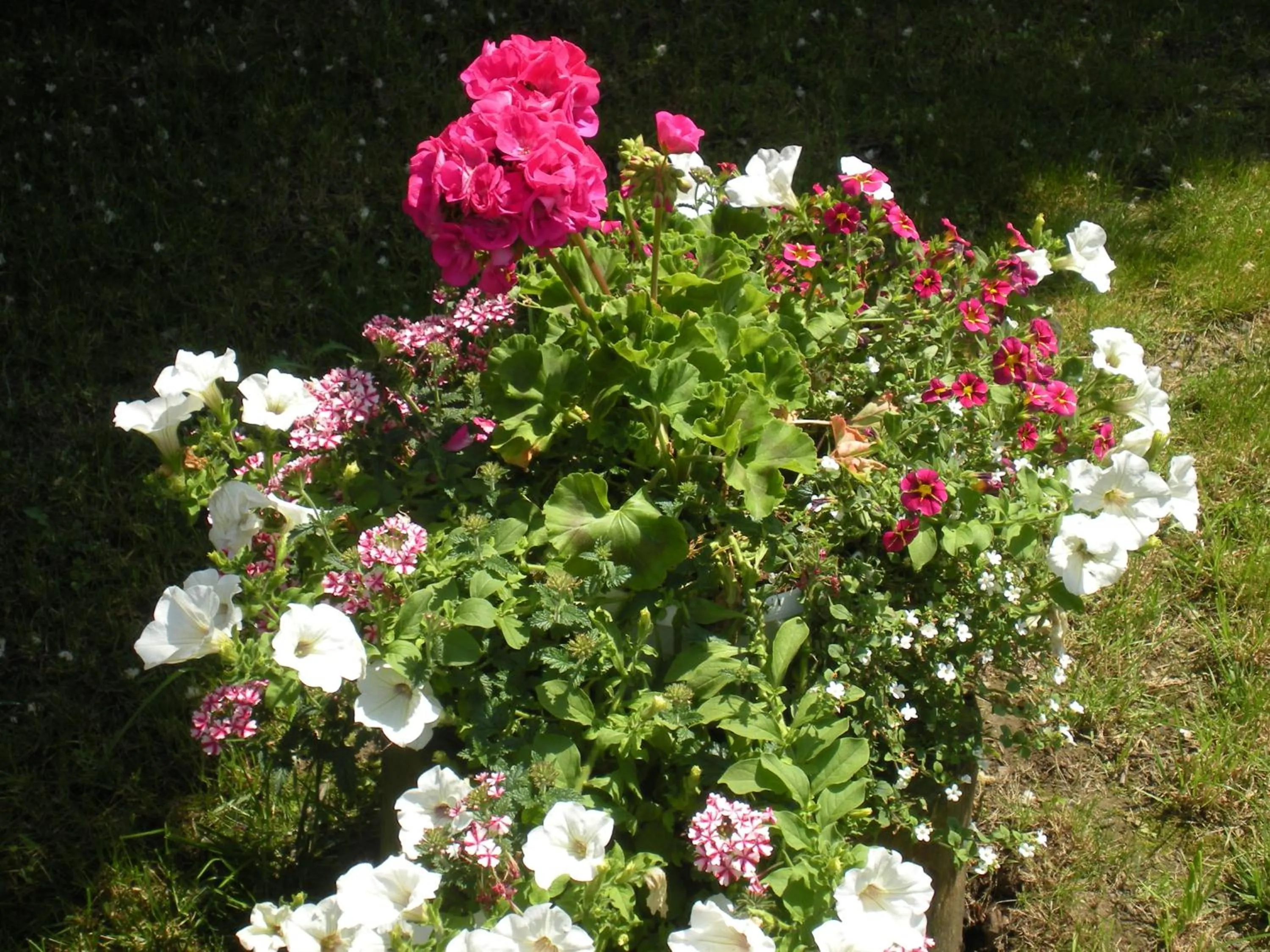 Garden in B&B Al Calcandola