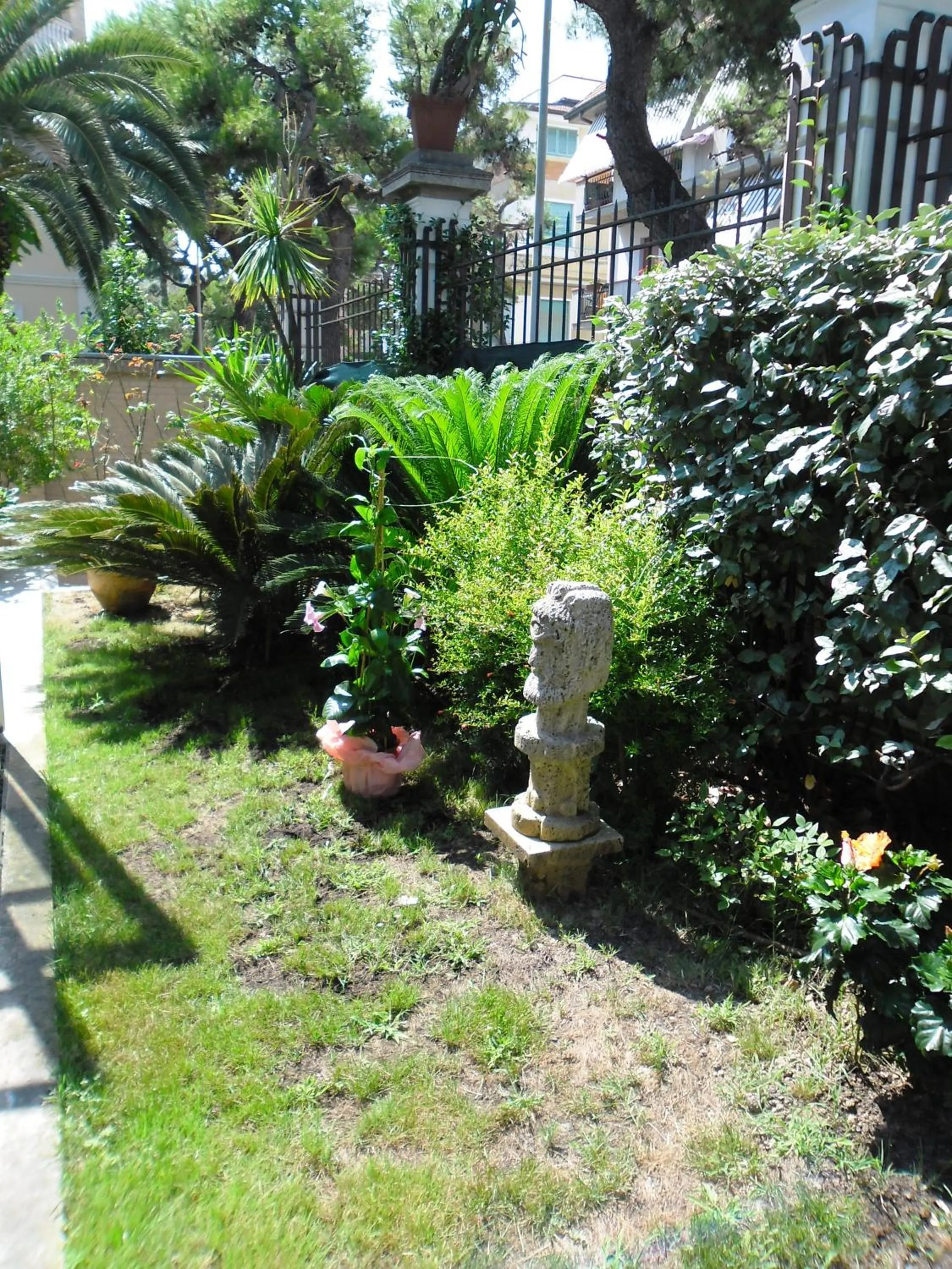 Day in Hotel Progresso