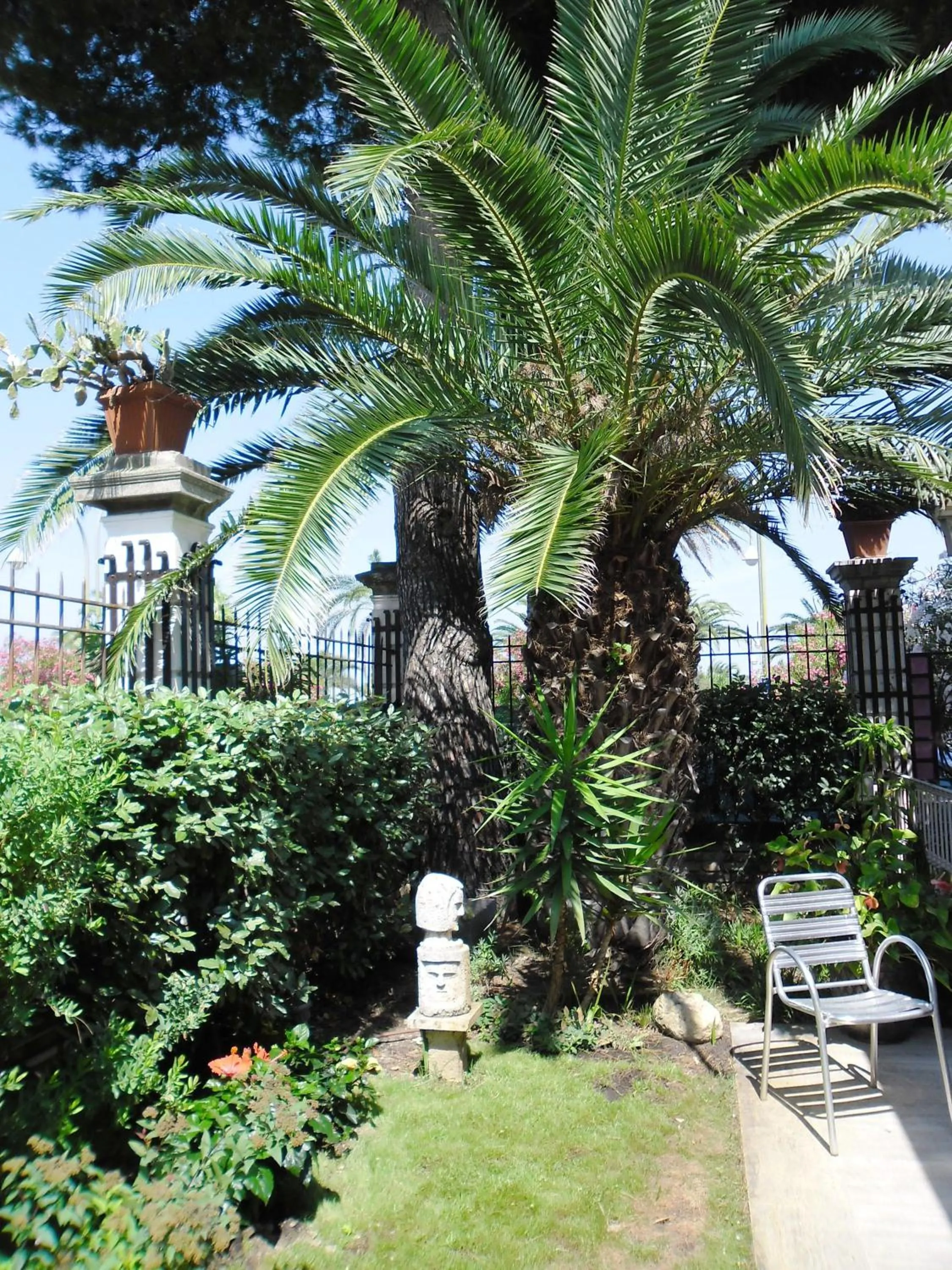 Garden in Hotel Progresso