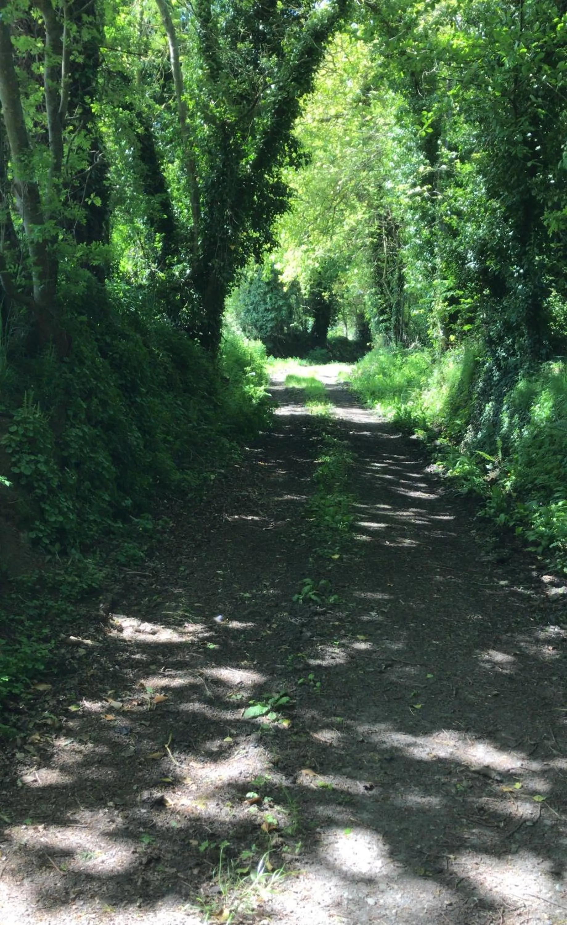 Natural landscape in Manoir de Penn Lann