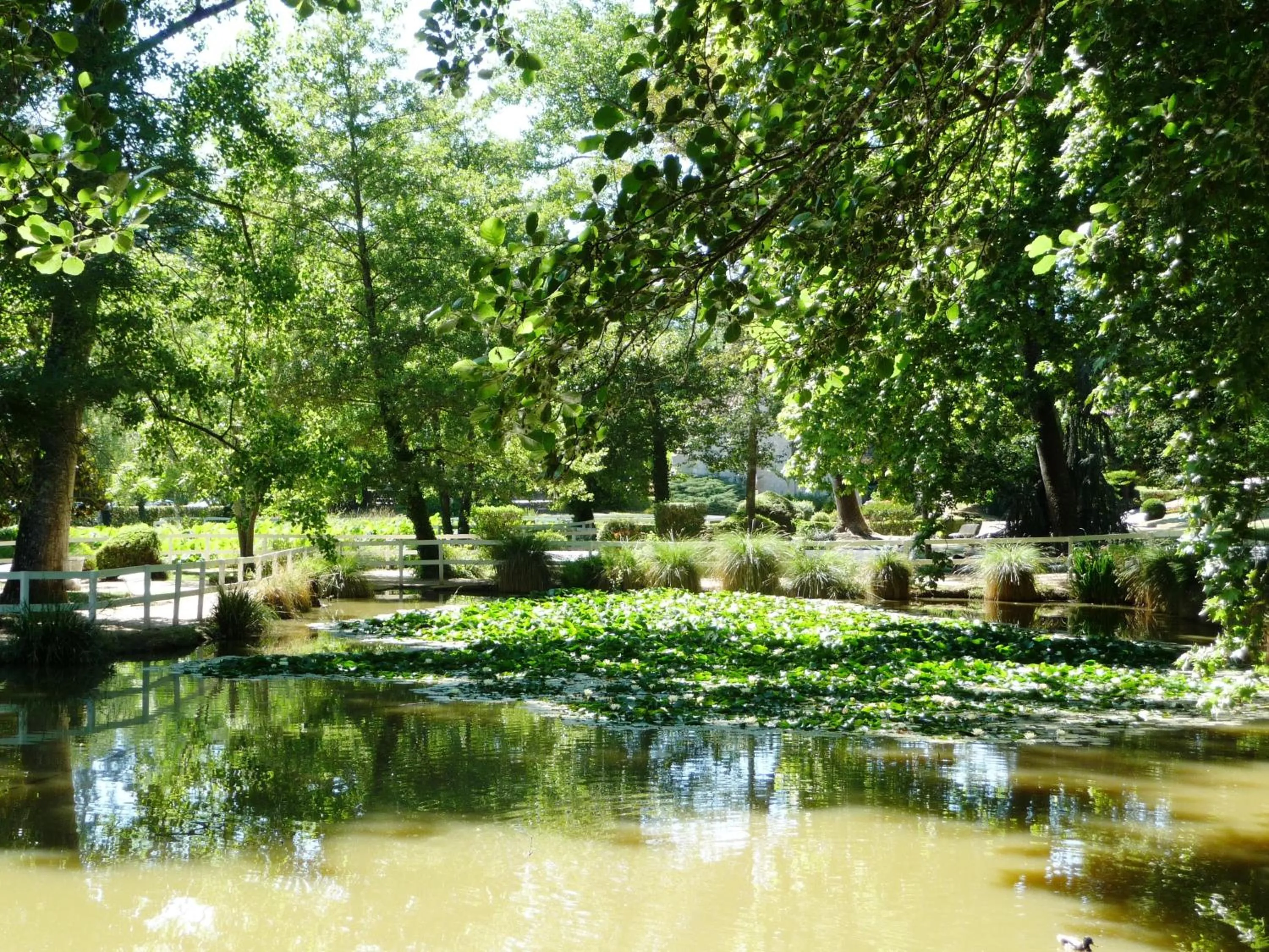 Area and facilities in Aubergade