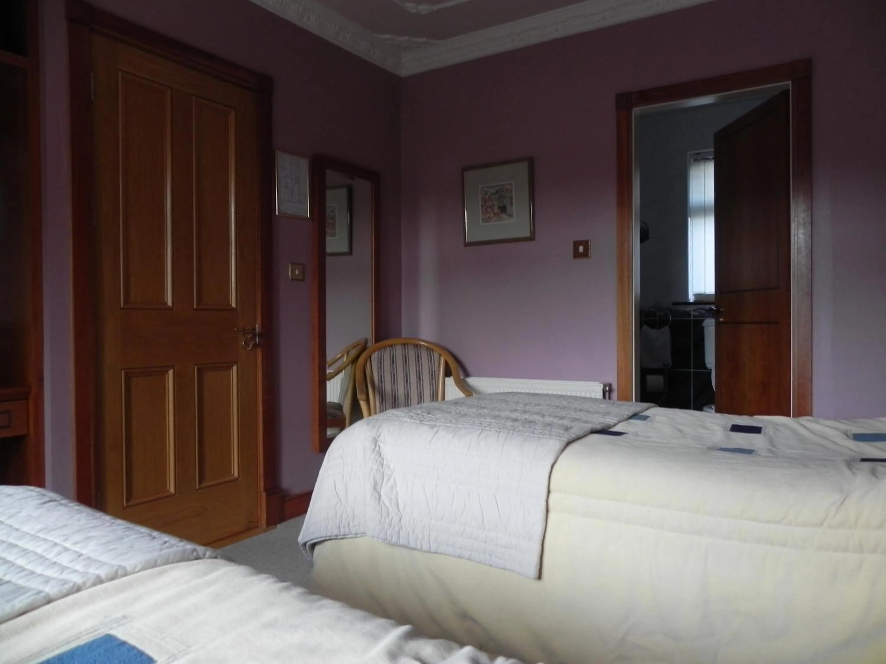 Bed in Shelmalier House