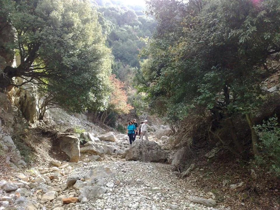 Activities in Ethra