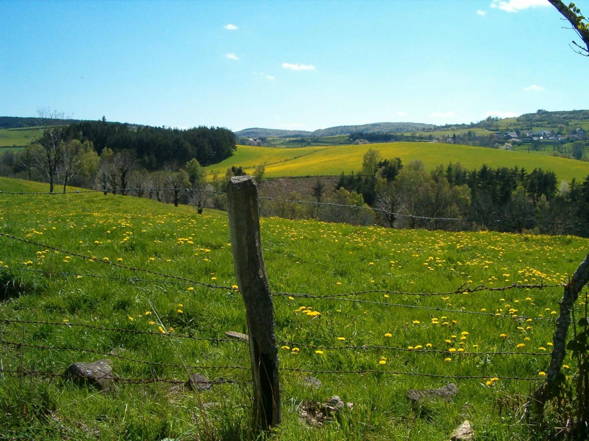 Area and facilities in Logis Hôtel-restaurant Les Coudercous