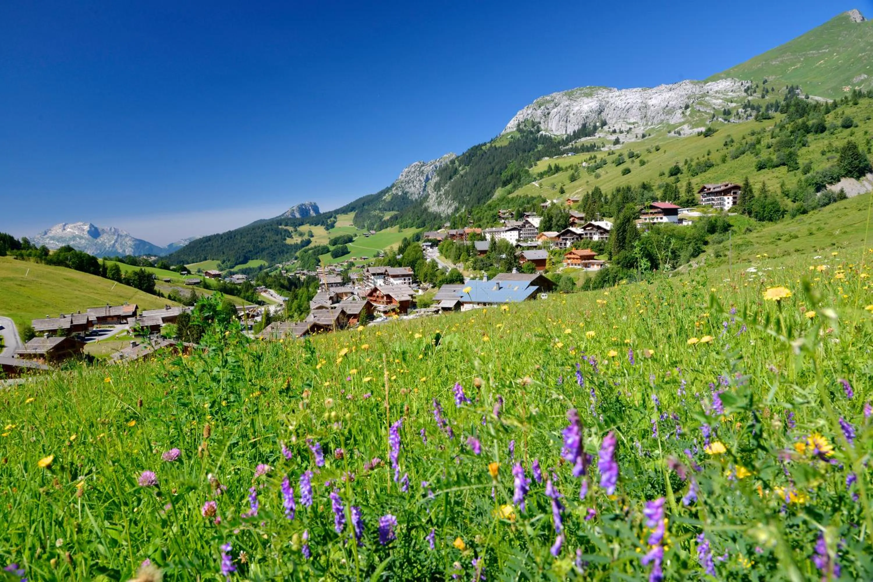Activities in Studio Bel'Alp