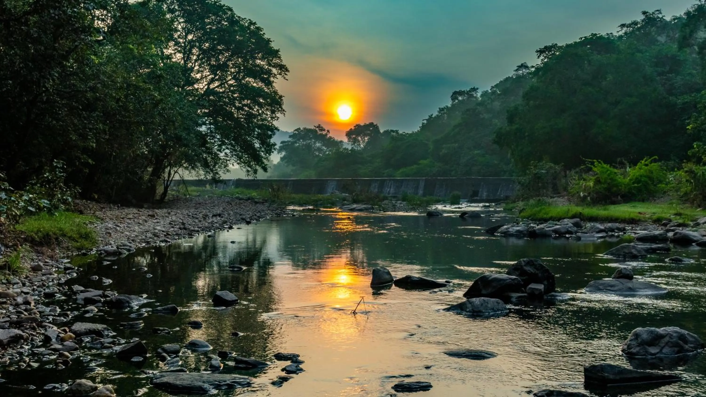 Natural landscape in The Fern Sattva Resort - Polo Forest