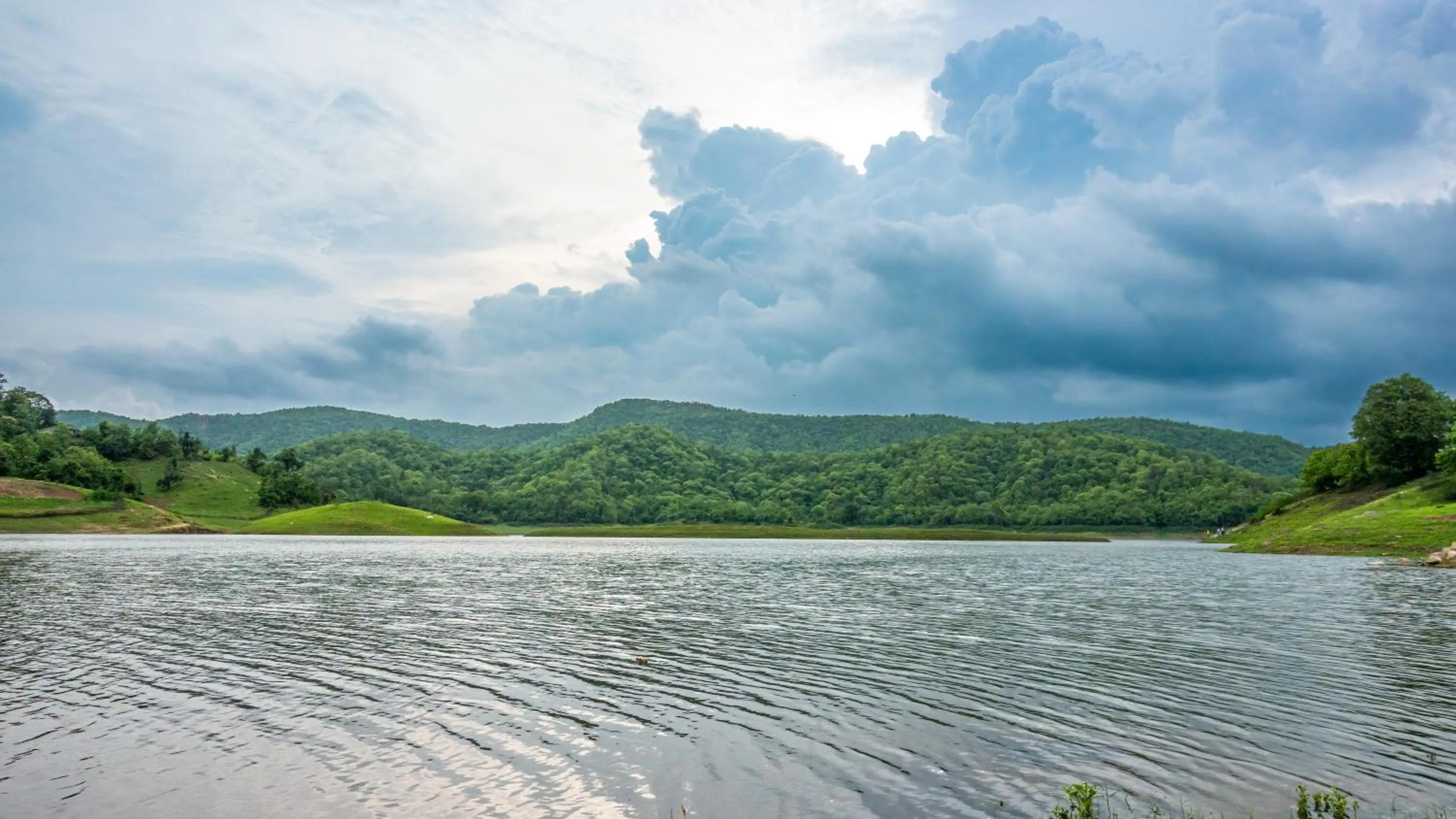 Natural landscape in The Fern Sattva Resort - Polo Forest