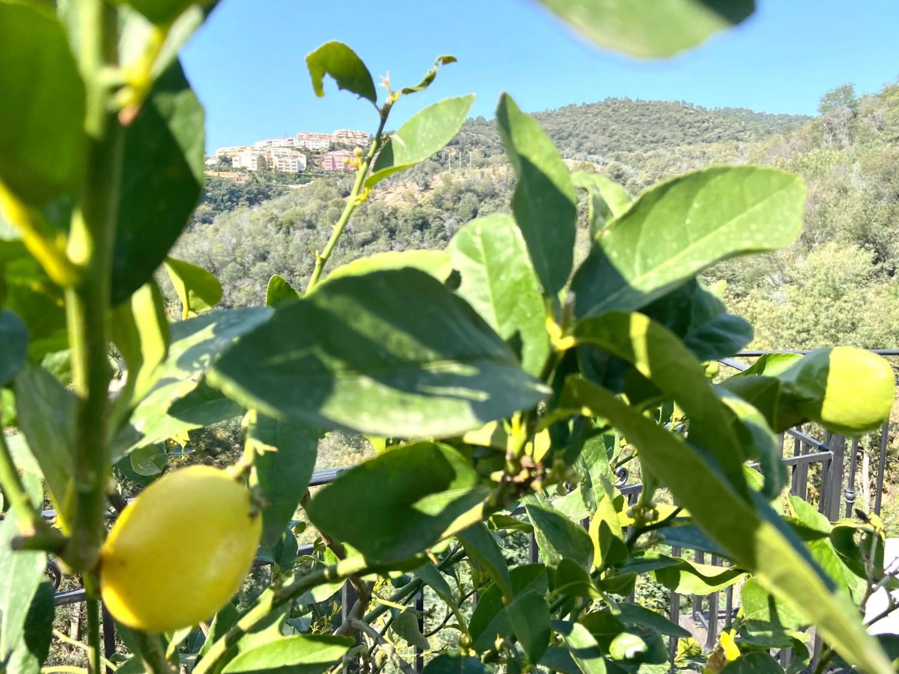 VILLA COLINA Cannes Mandelieu